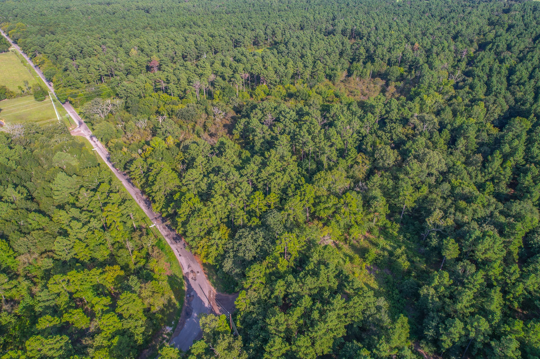 Tract 13 County Road 4224 Frankston TX 75763