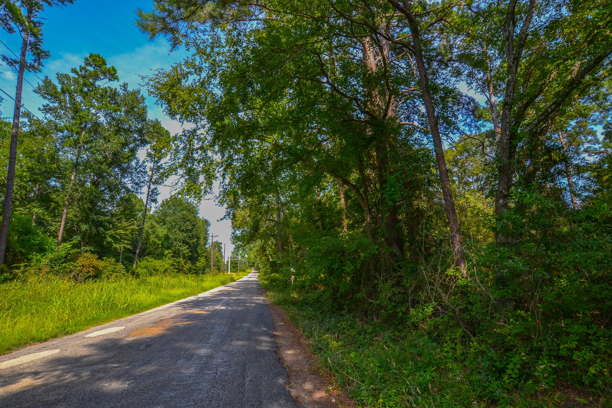 Tract 13 County Road 4224 Frankston TX 75763