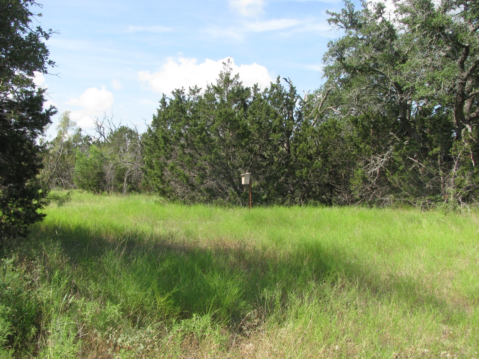 Lot 12 Ph 4 Pr 4212 Evant TX 76525