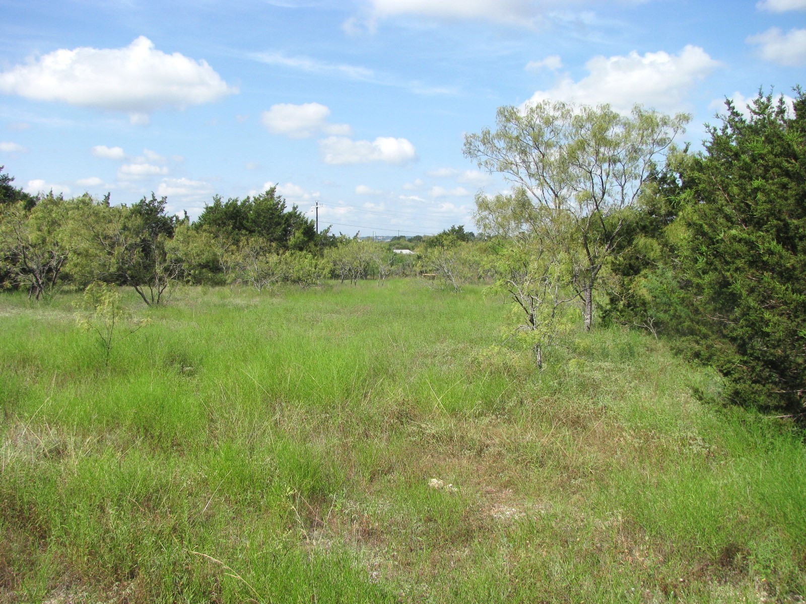 Lot 12 Ph 4 Pr 4212 Evant TX 76525