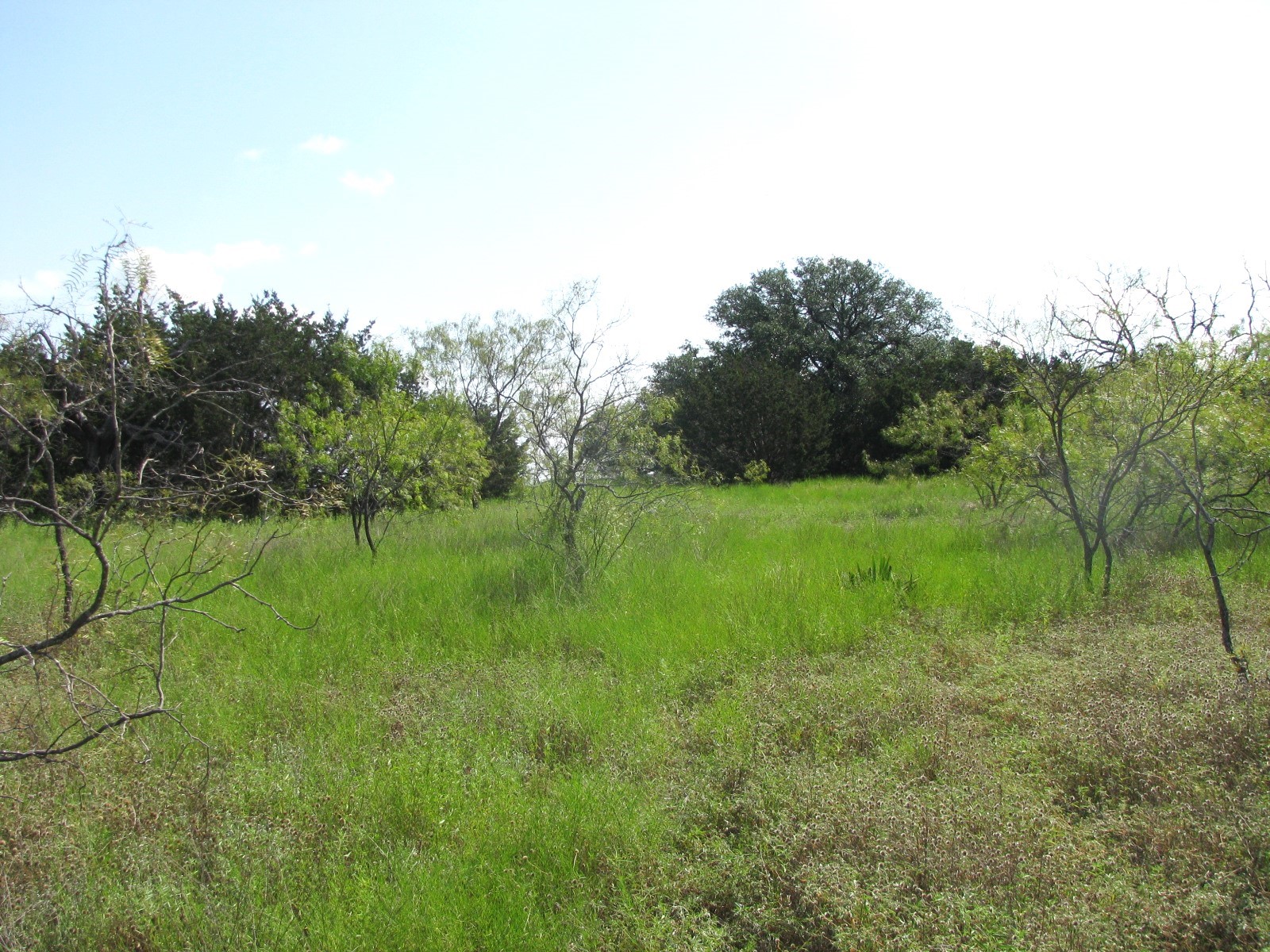 Lot 12 Ph 4 Pr 4212 Evant TX 76525