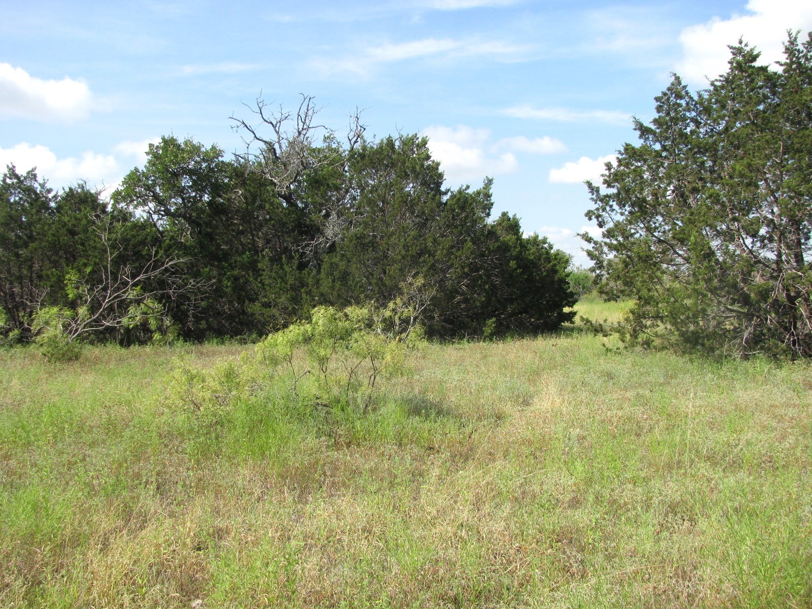 Lot 12 Ph 4 Pr 4212 Evant TX 76525