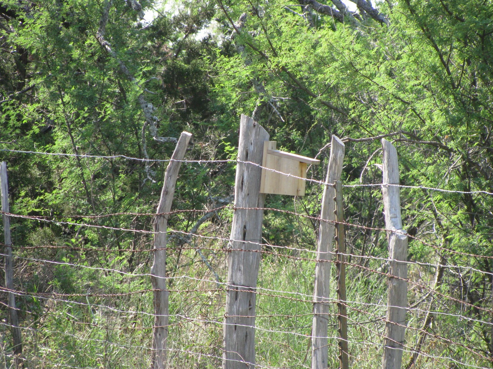 Lot 12 Ph 4 Pr 4212 Evant TX 76525