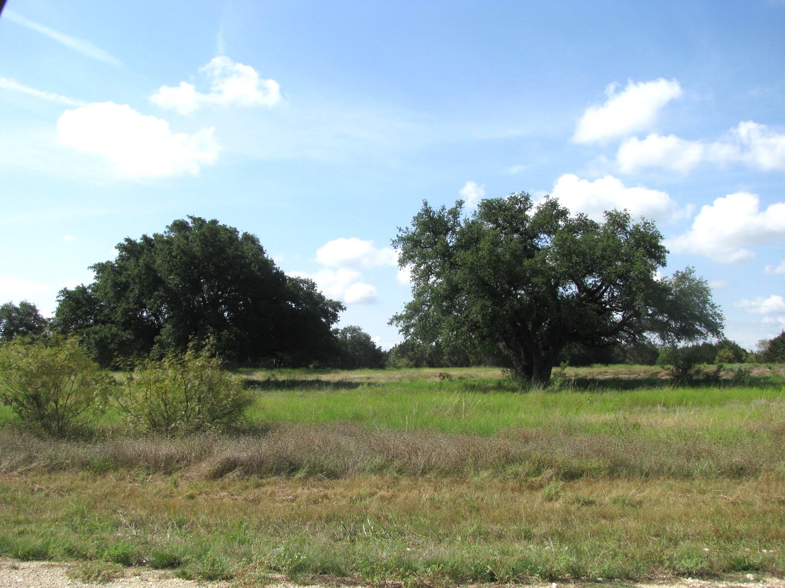Lot 12 Ph 4 Pr 4212 Evant TX 76525