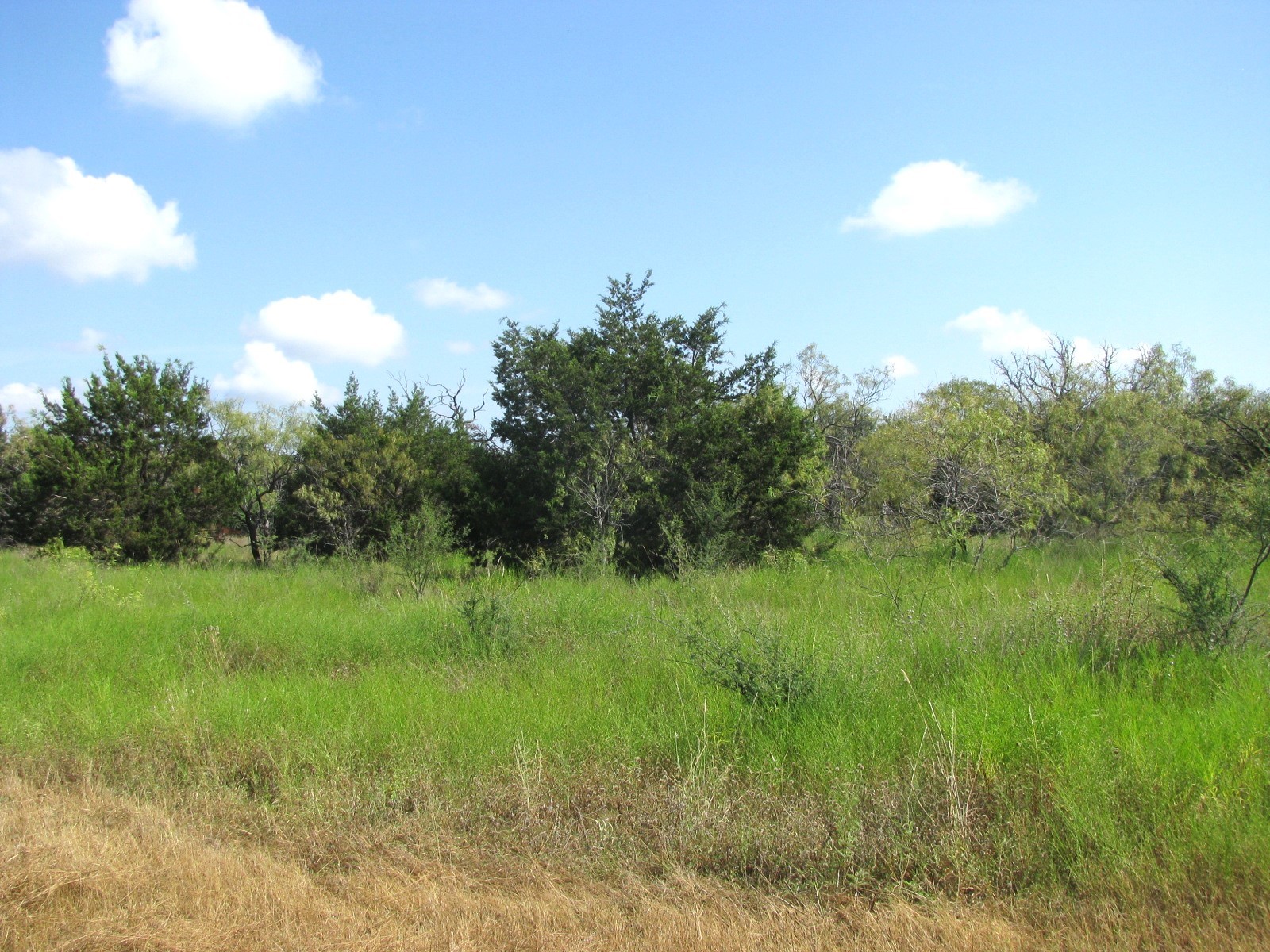 Lot 12 Ph 4 Pr 4212 Evant TX 76525