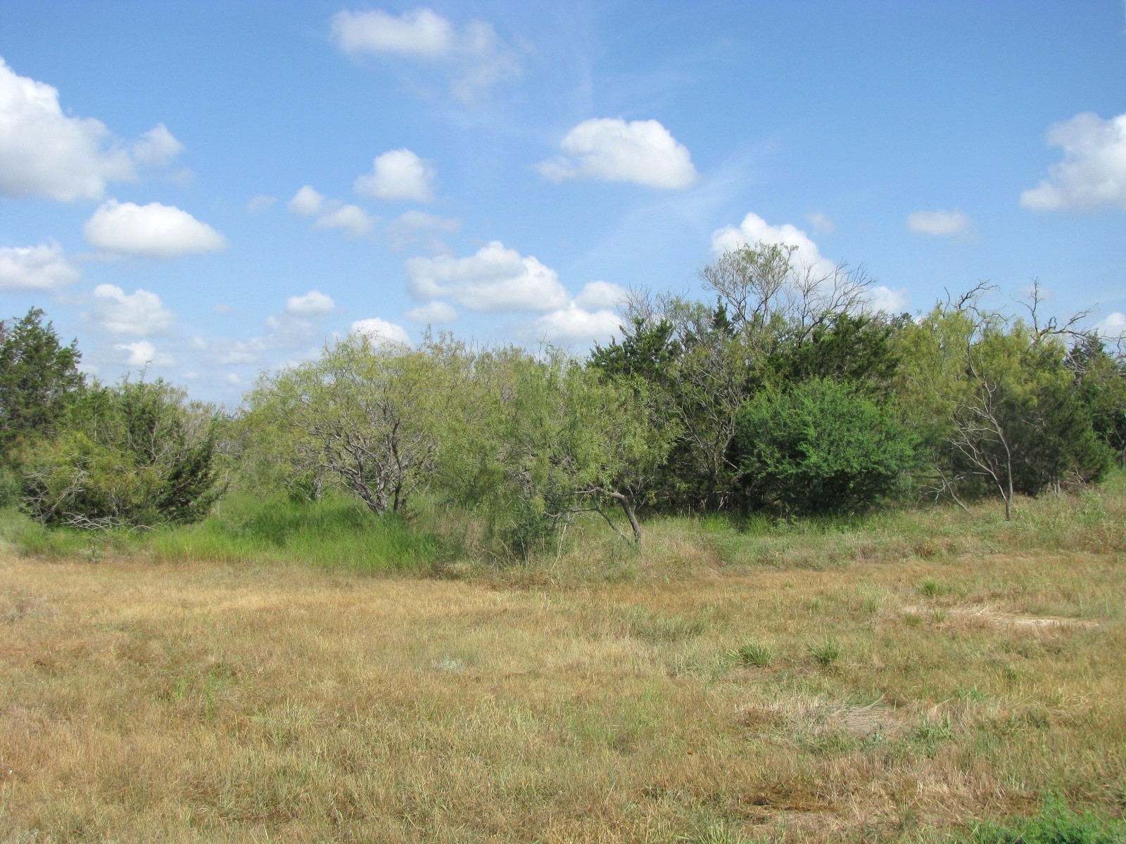 Lot 12 Ph 4 Pr 4212 Evant TX 76525