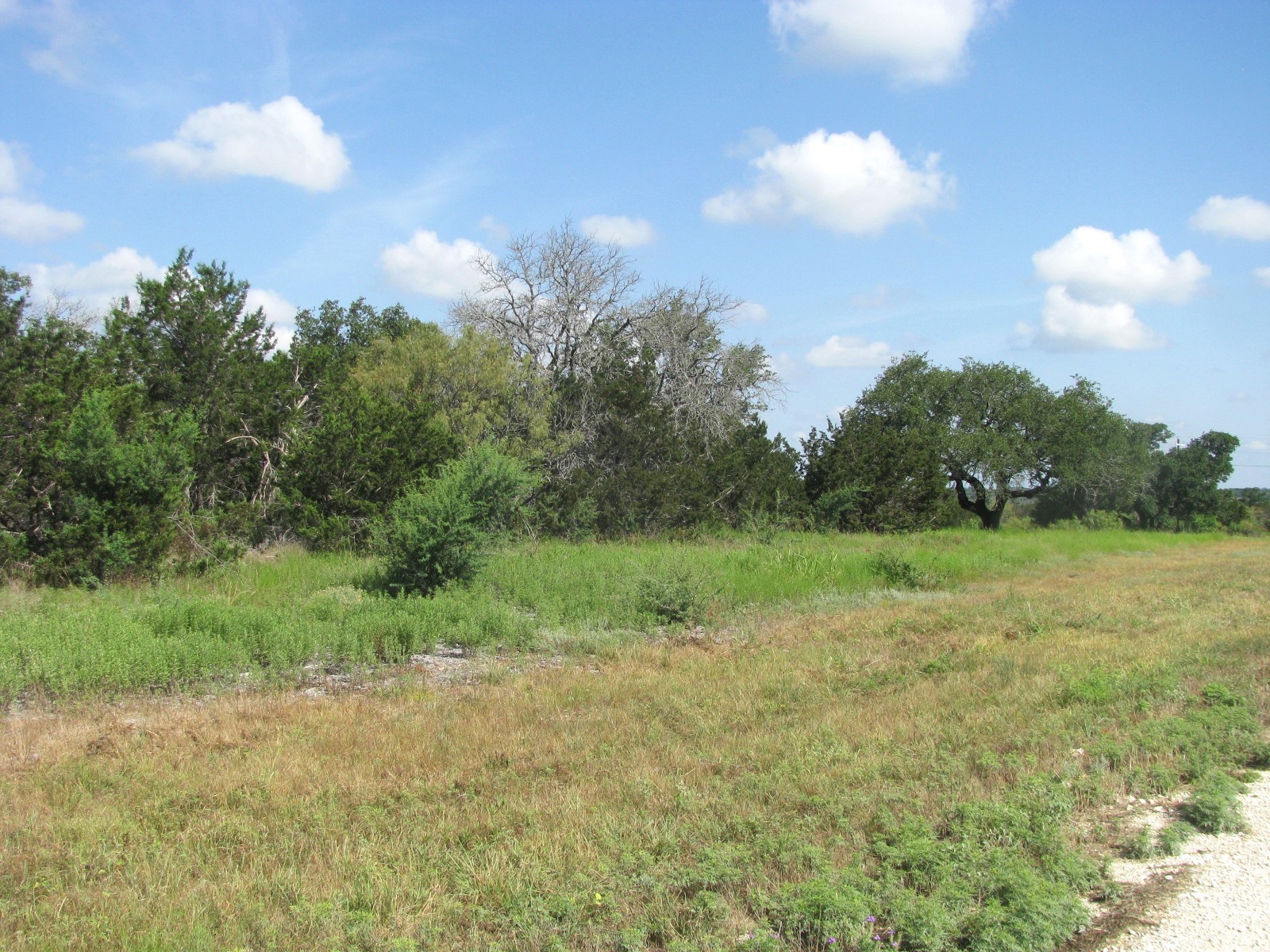Lot 12 Ph 4 Pr 4212 Evant TX 76525