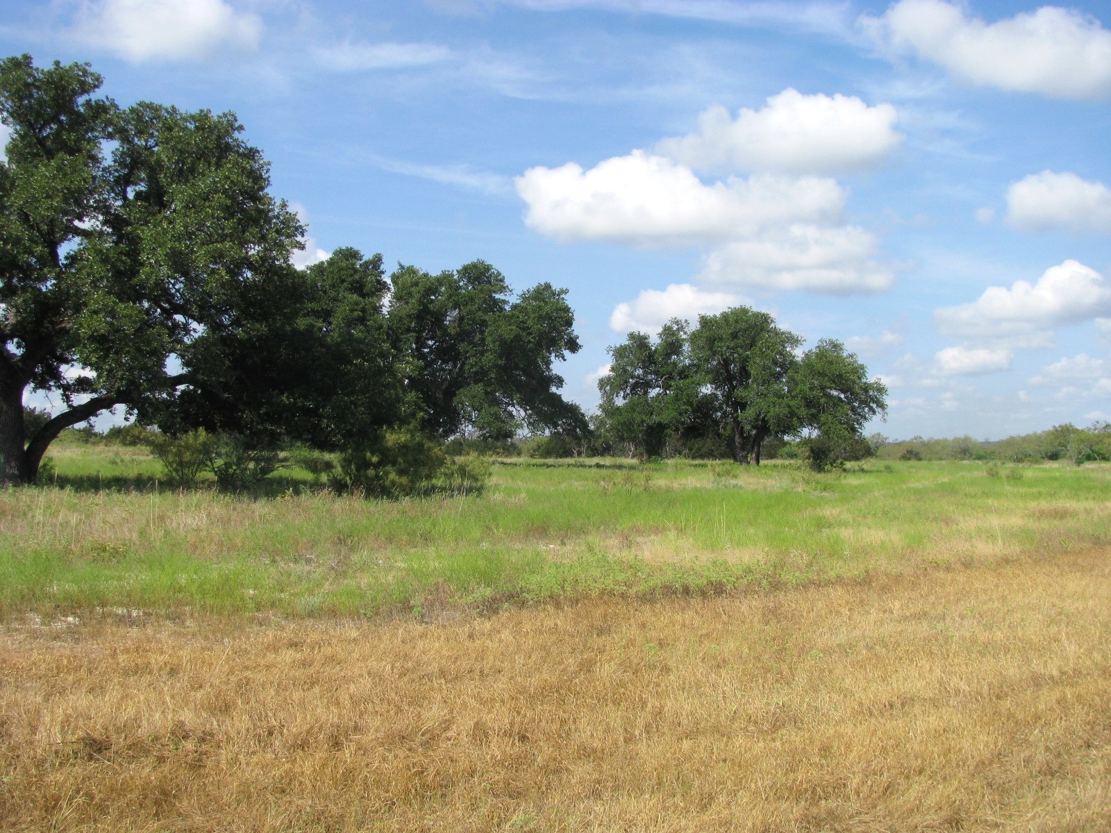 Lot 12 Ph 4 Pr 4212 Evant TX 76525