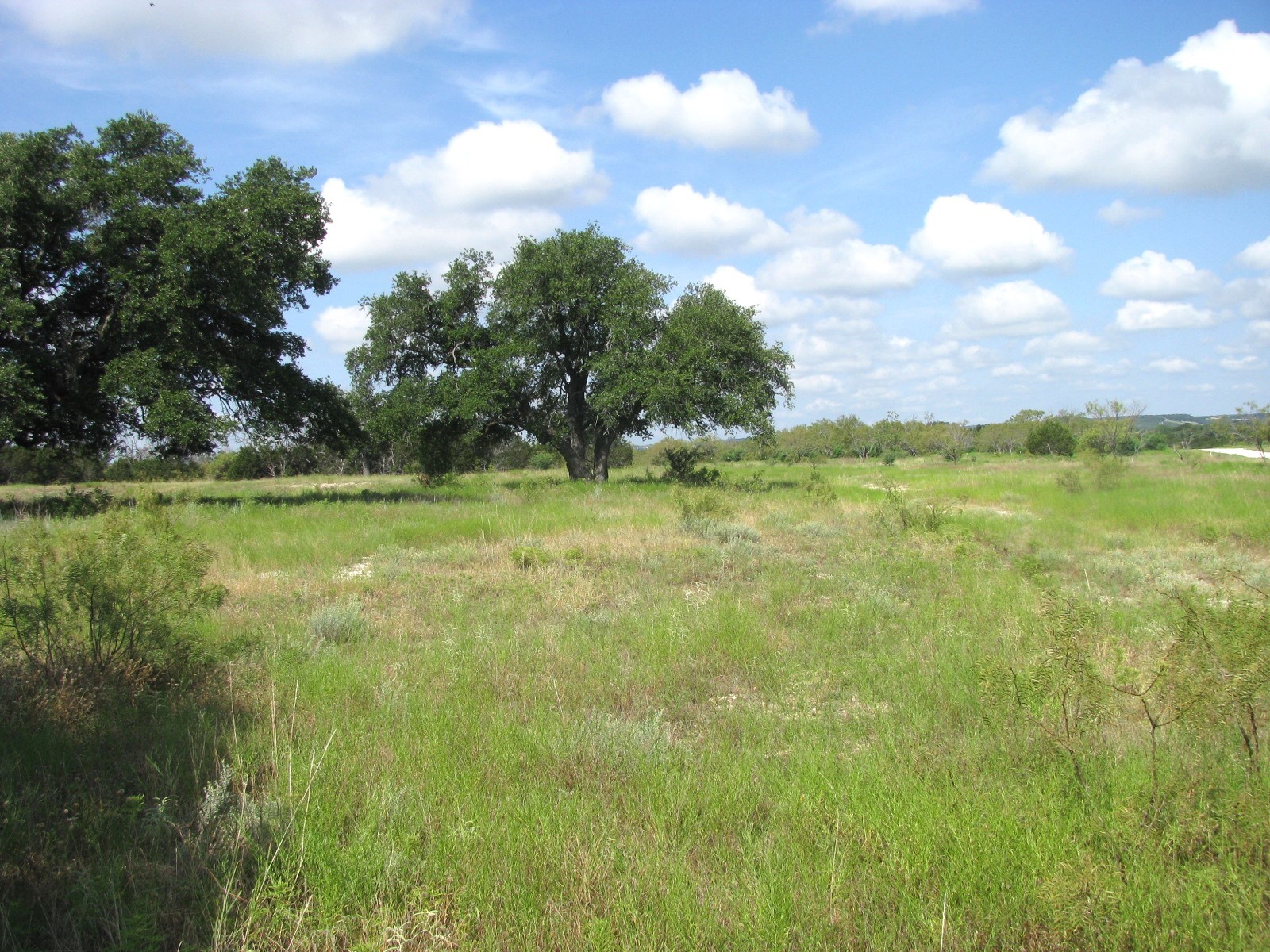 Lot 12 Ph 4 Pr 4212 Evant TX 76525