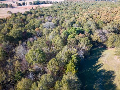 Tbd Cr 2110 Clarksville TX 75426