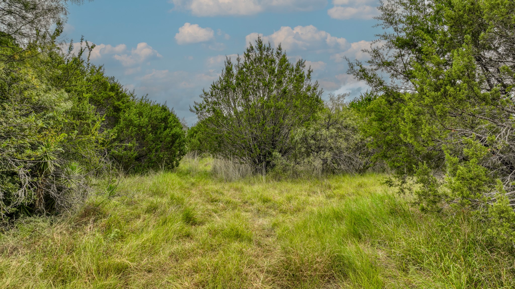 9133 Mcarthur Court Tolar TX 76476