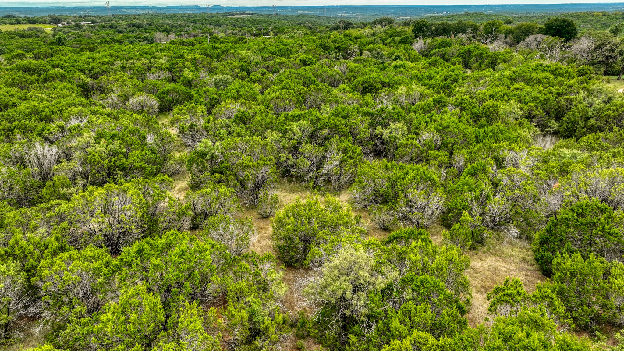 9133 Mcarthur Court Tolar TX 76476
