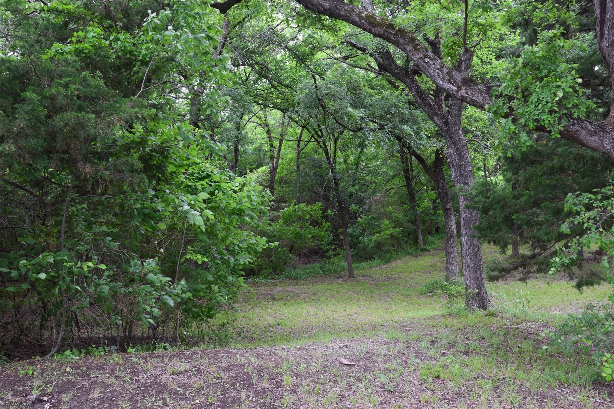 125 N Lost Valley Drive Lucas TX 75002