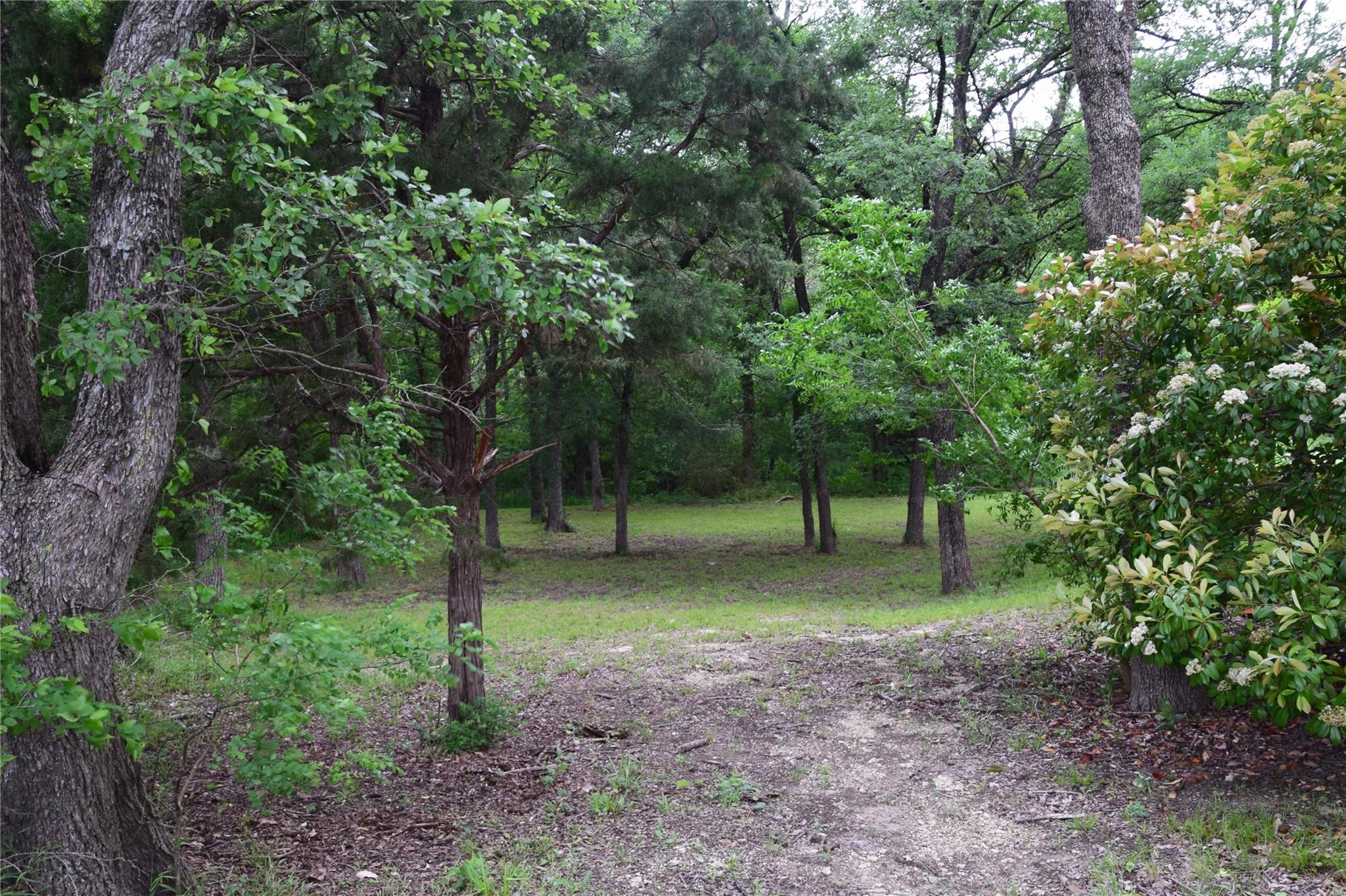 125 N Lost Valley Drive Lucas TX 75002