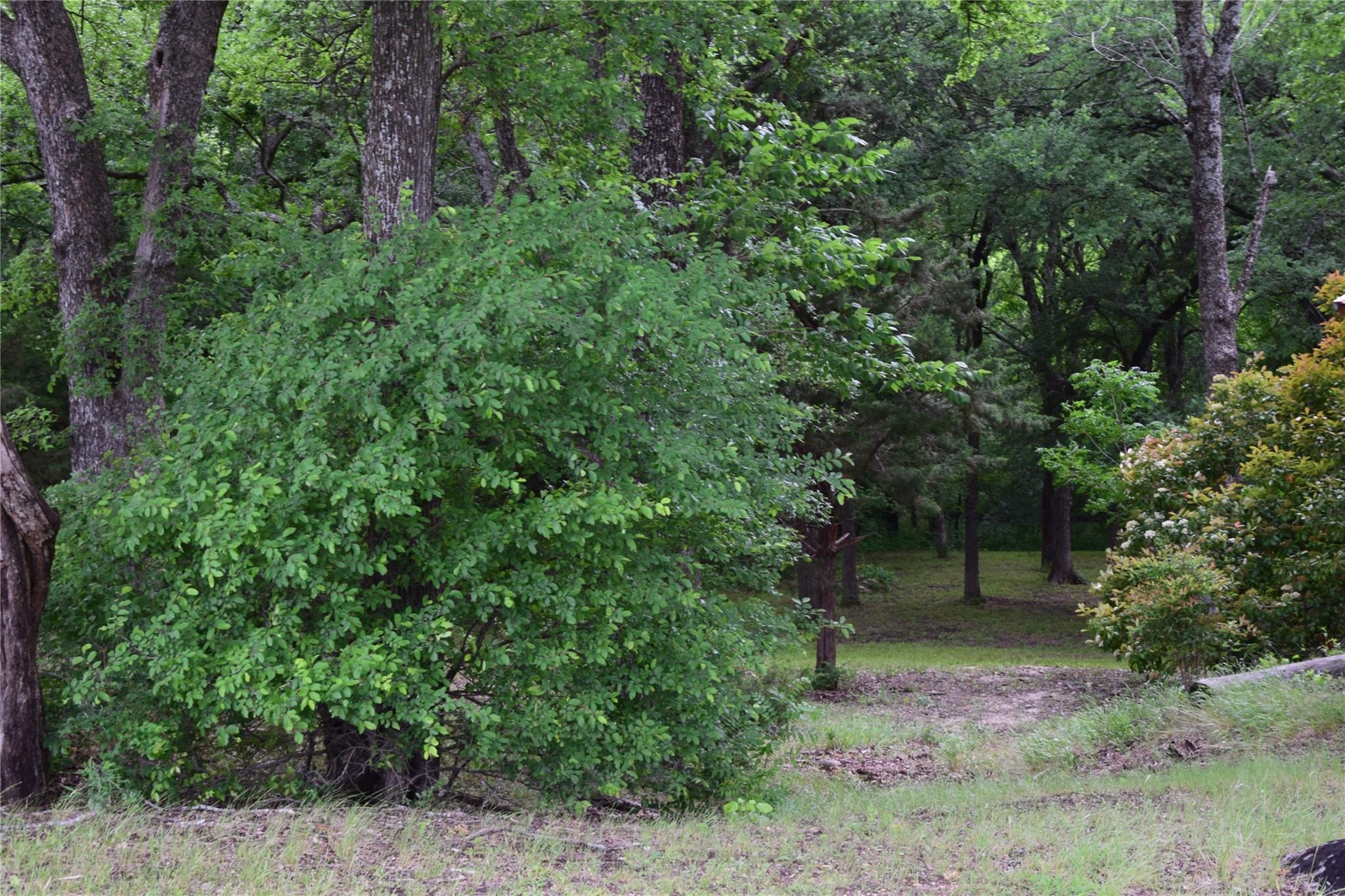 125 N Lost Valley Drive Lucas TX 75002