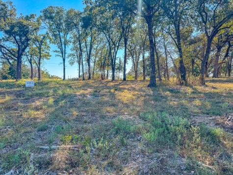 Lot 2 Bordeaux Lane Corsicana TX 75109