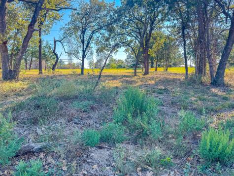 Lot 2 Bordeaux Lane Corsicana TX 75109