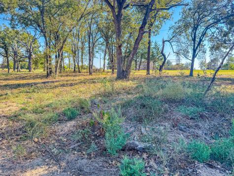 Lot 2 Bordeaux Lane Corsicana TX 75109