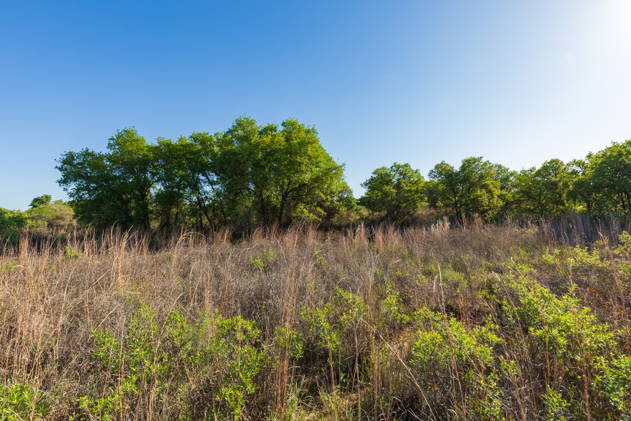 Tbd Private Road 705 Anson TX 79501