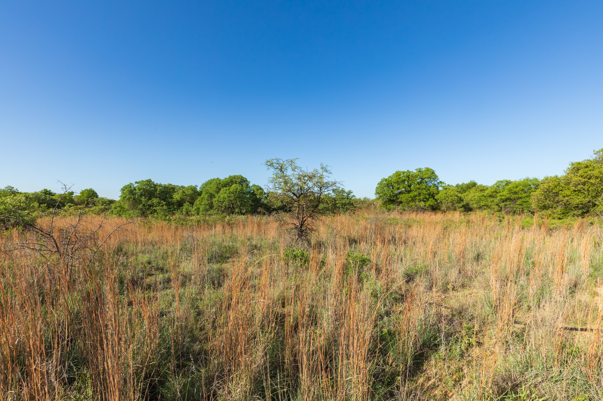 Tbd Private Road 705 Anson TX 79501