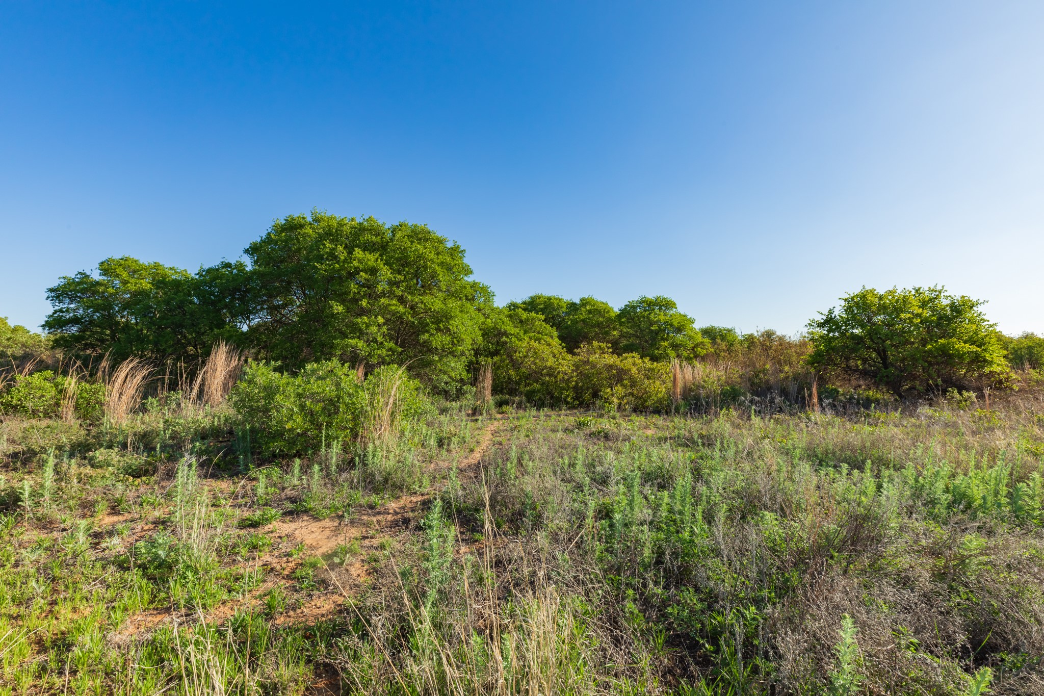 Tbd Private Road 705 Anson TX 79501