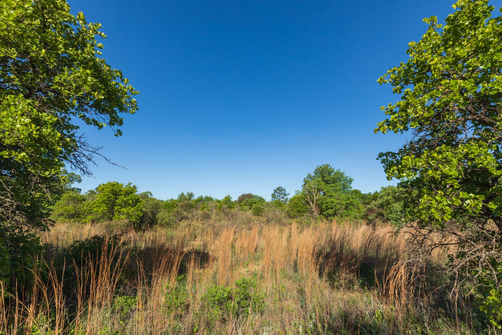 Tbd Private Road 705 Anson TX 79501