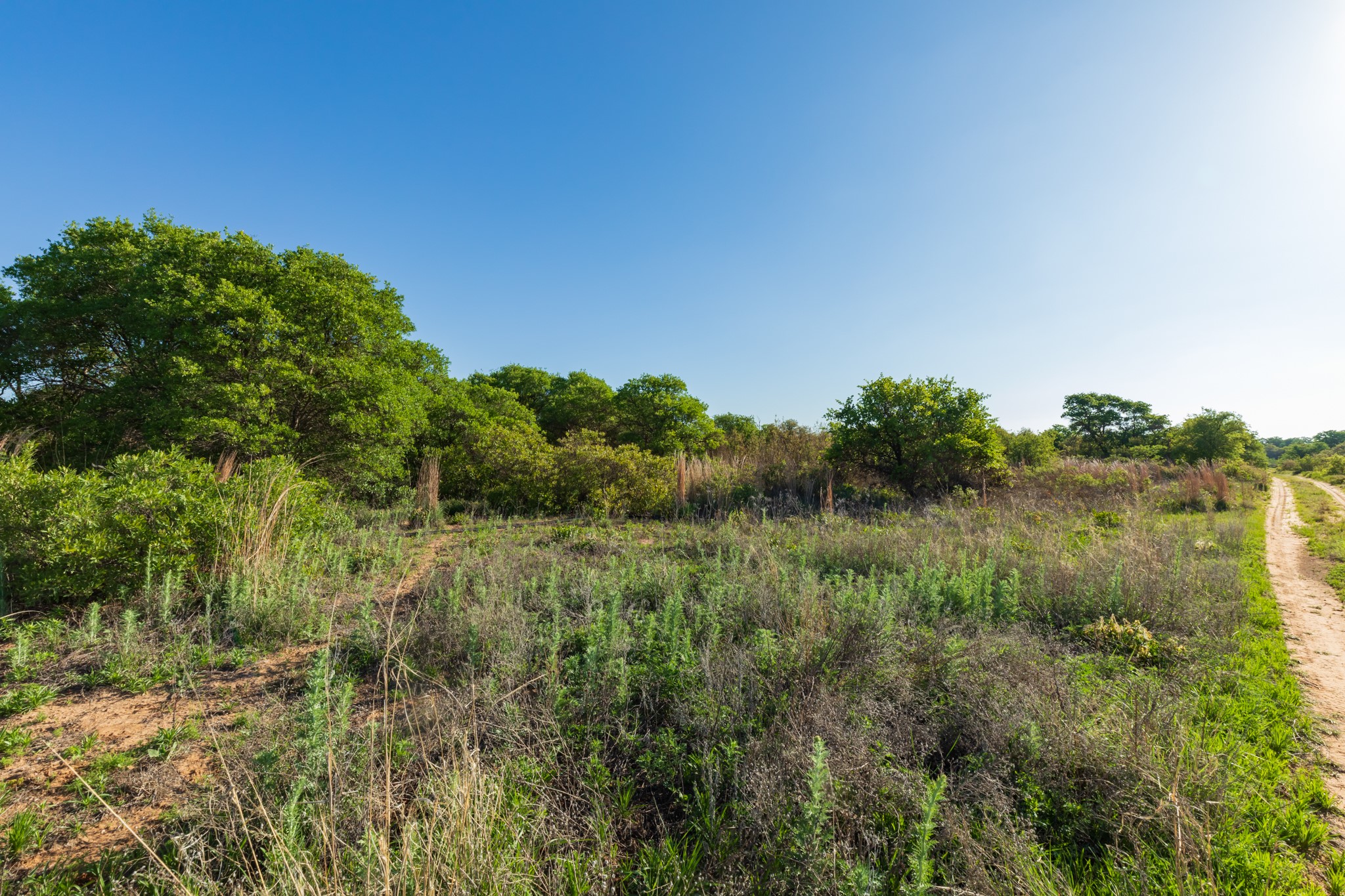 Tbd Private Road 705 Anson TX 79501