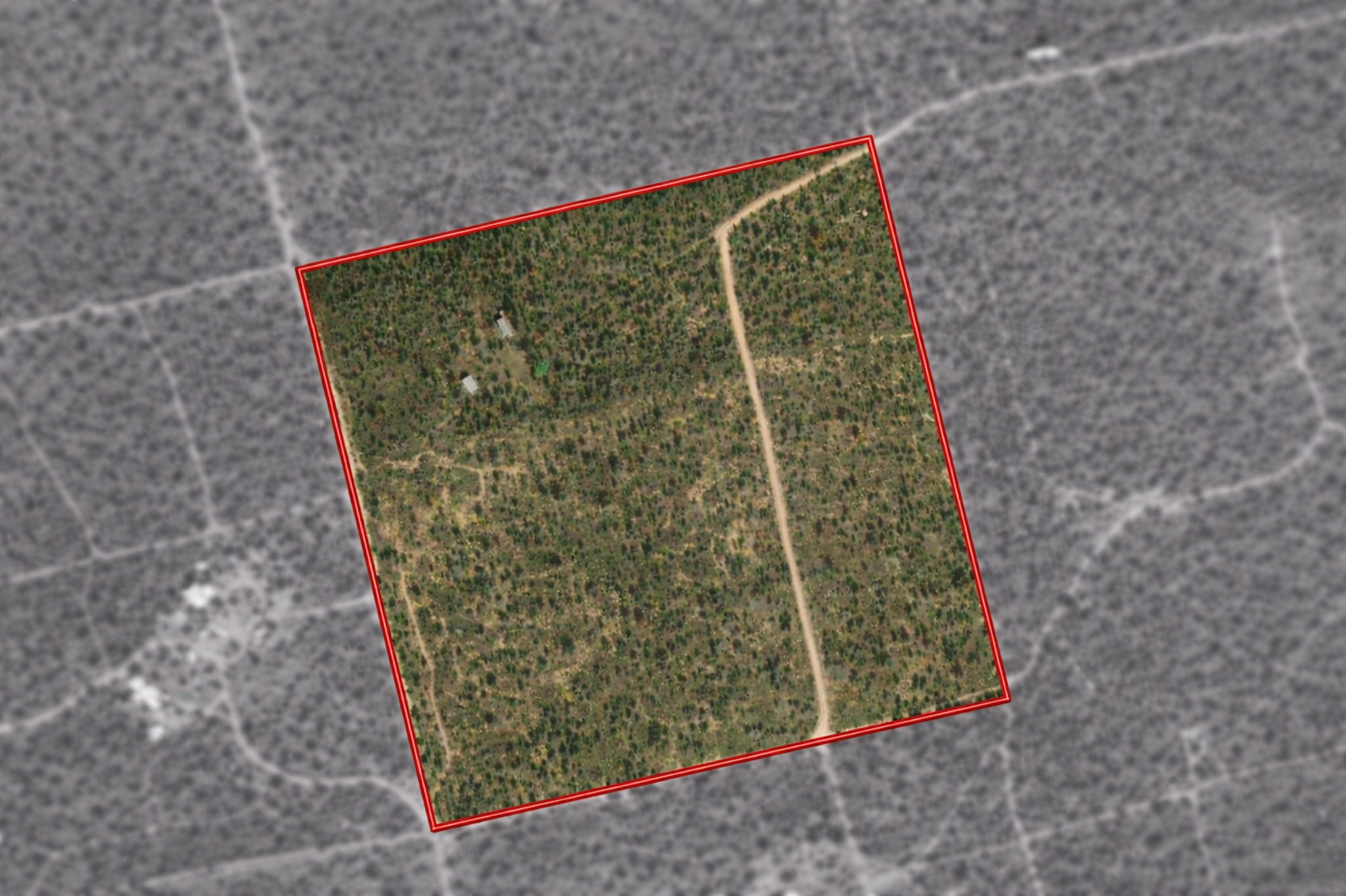 Tbd Private Road 705 Anson TX 79501