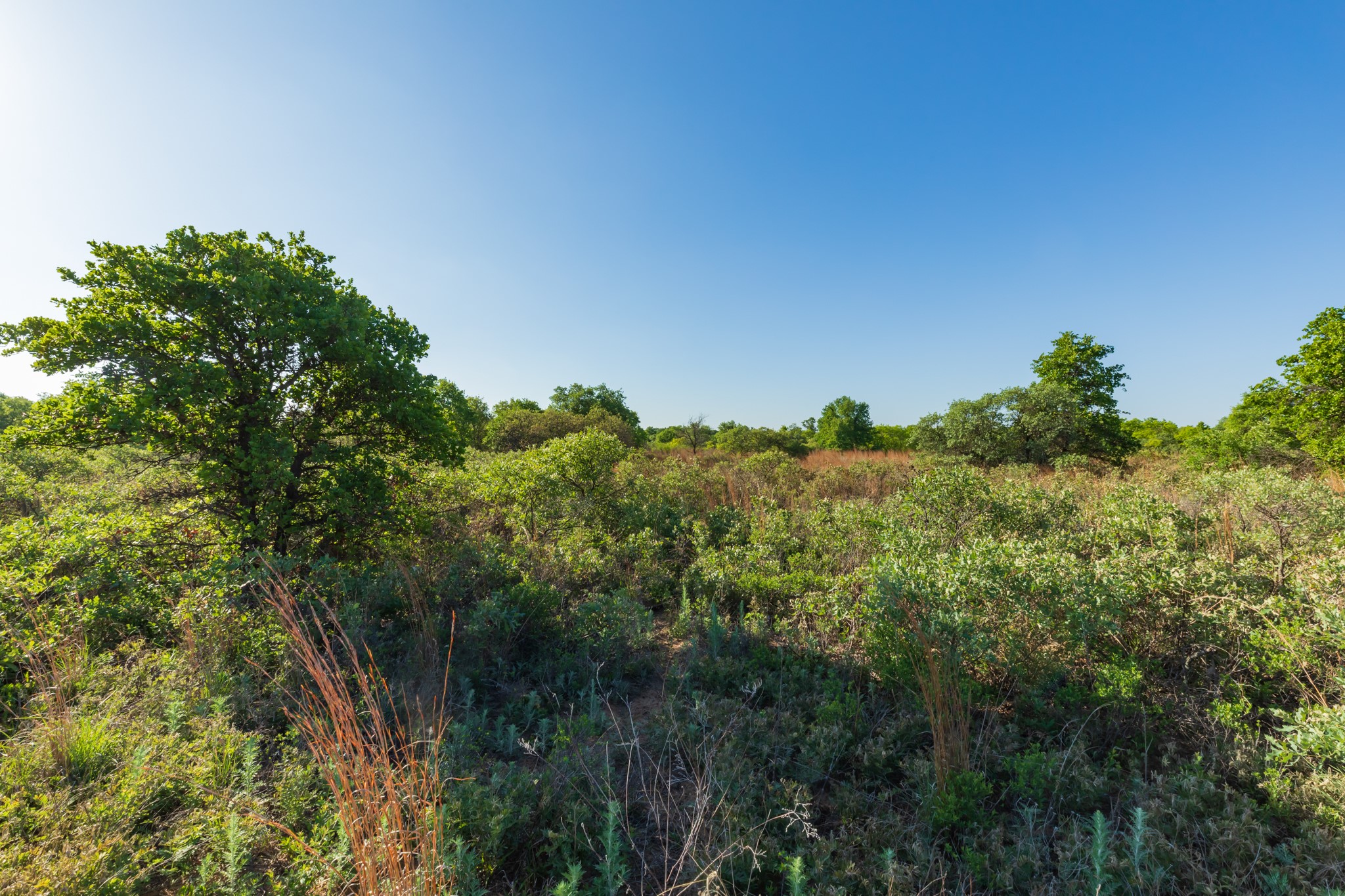 Tbd Private Road 705 Anson TX 79501
