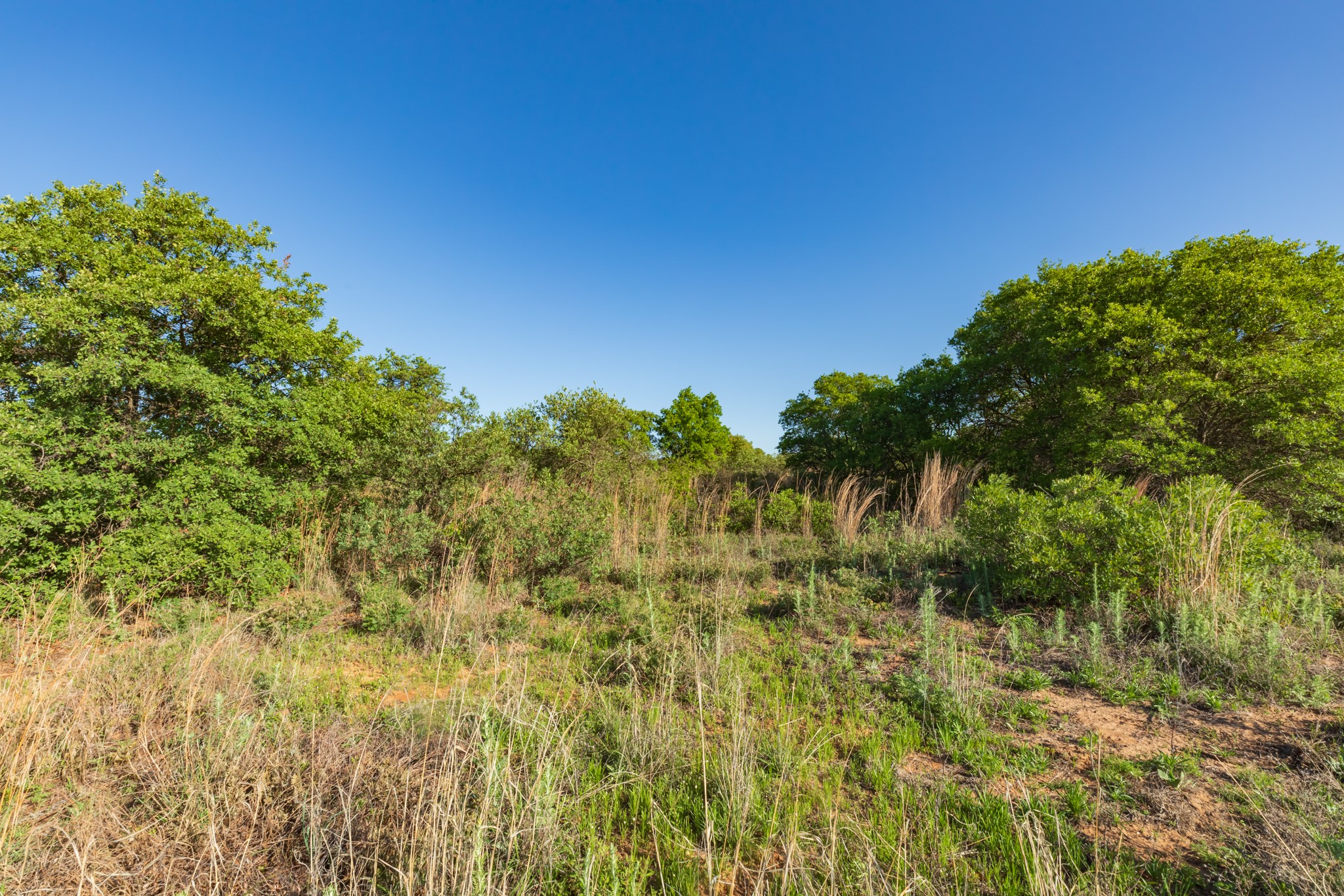 Tbd Private Road 705 Anson TX 79501
