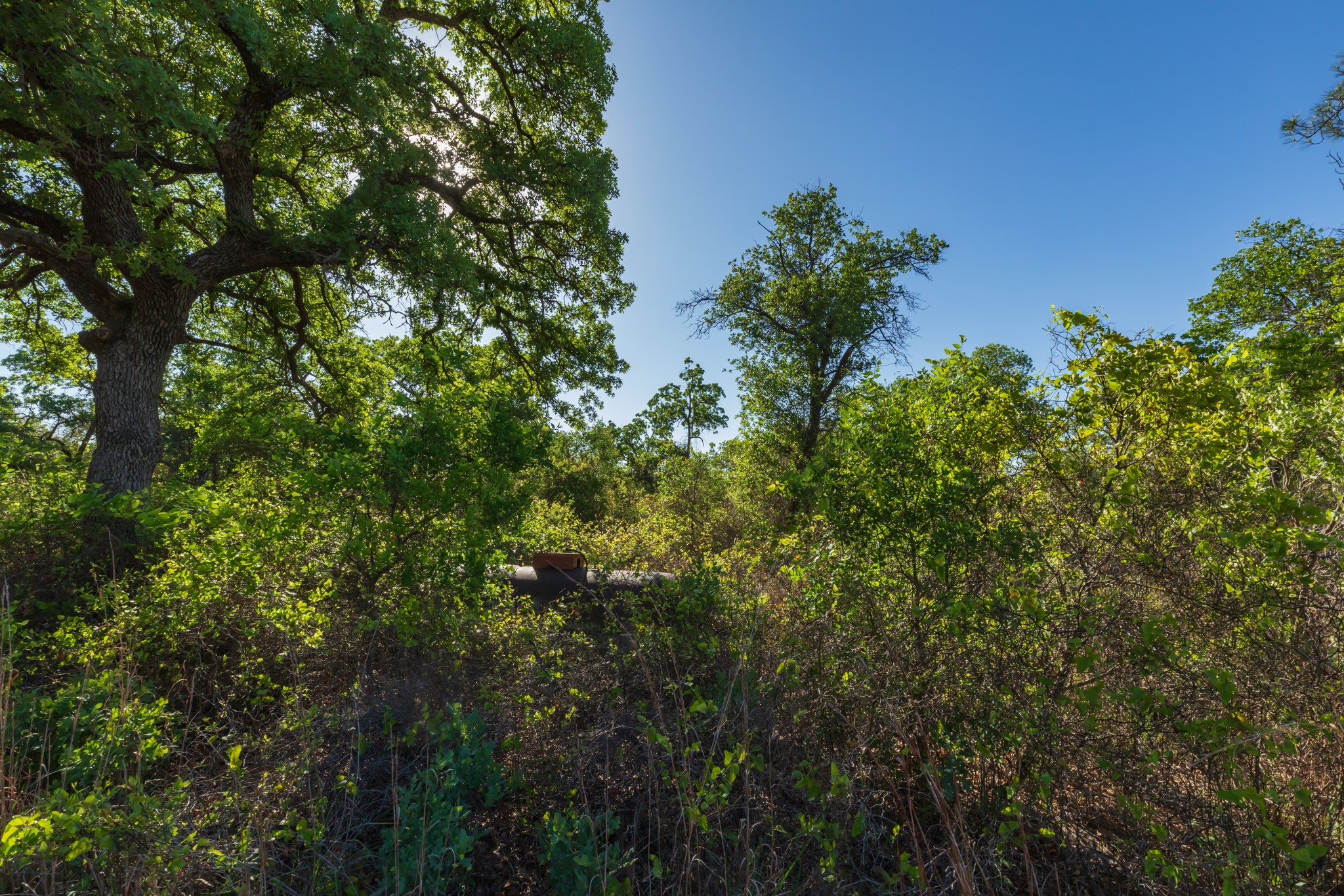Tbd Private Road 705 Anson TX 79501