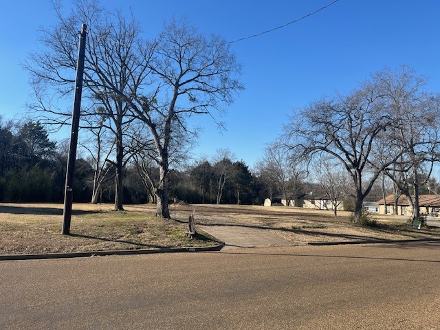 511 Big Rock Street Canton TX 75103