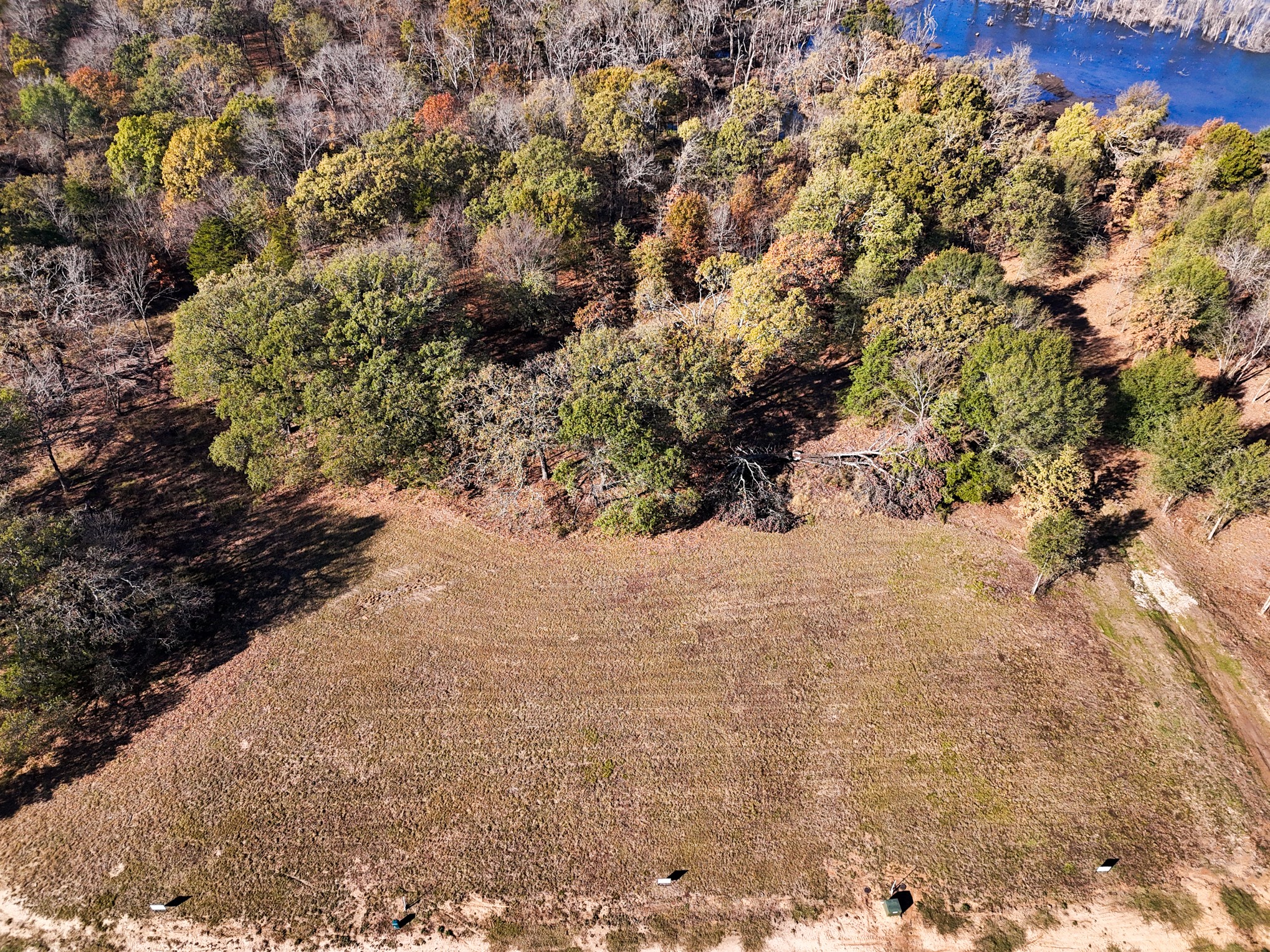 245 Shoreline Drive Dodd City TX 75438