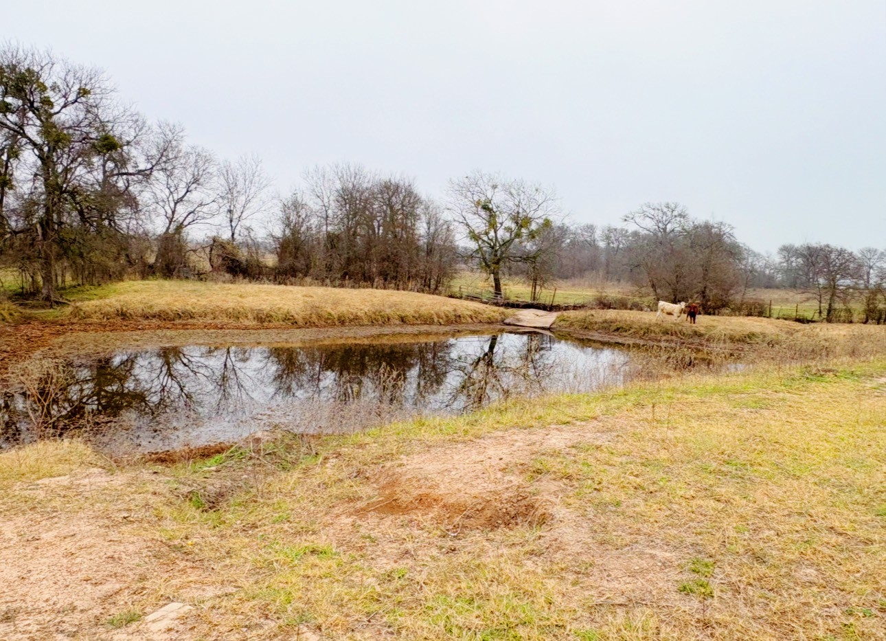 101 County Road 101 Marlin TX 76661