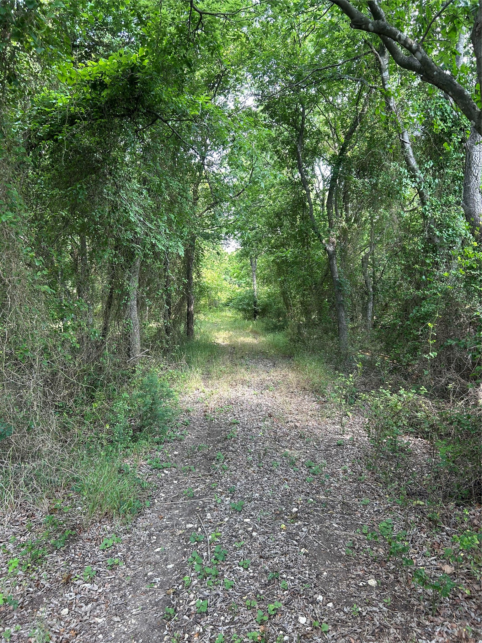3049 Fm 1434 Cleburne TX 76033