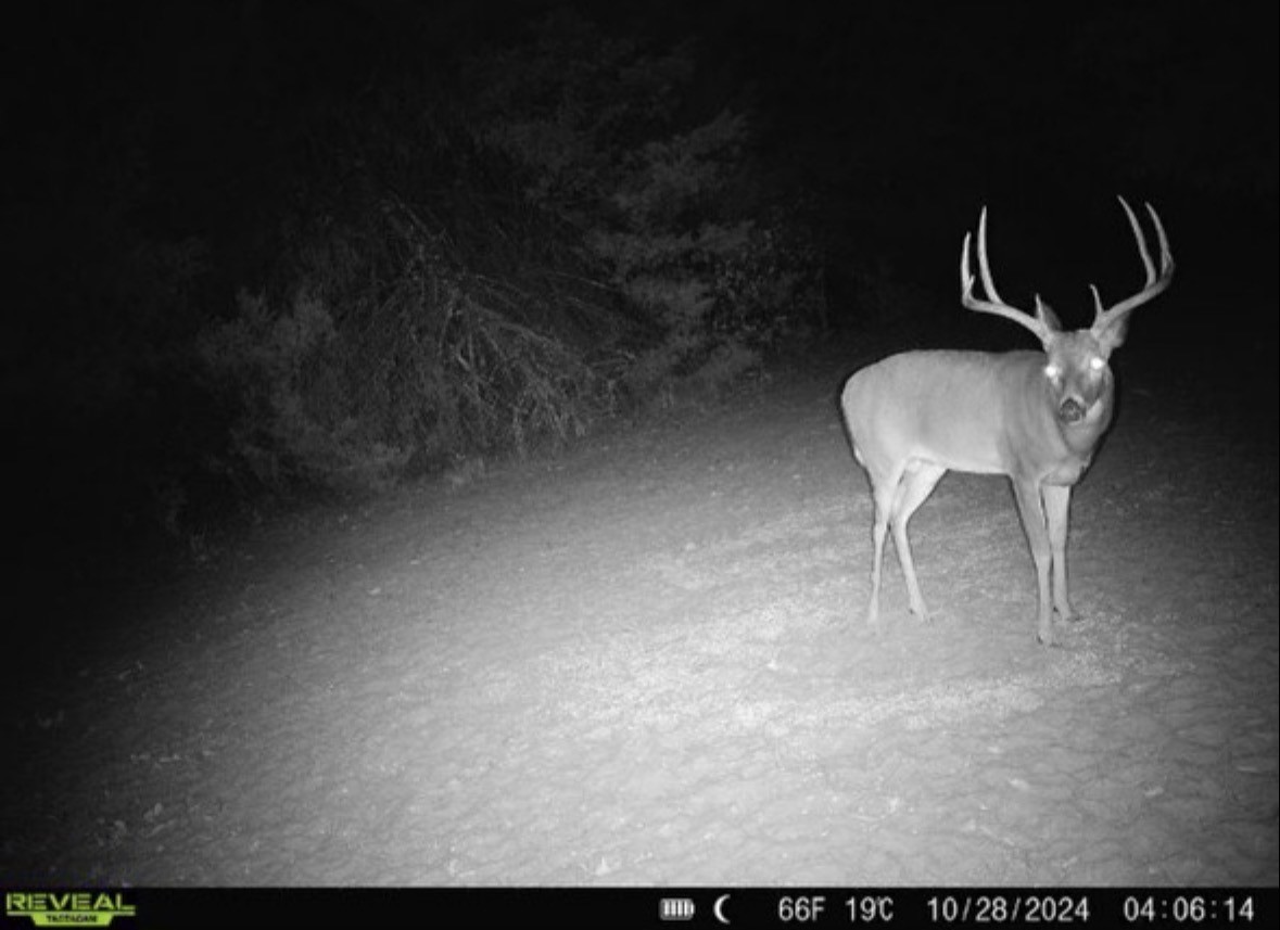 2042 E 1980 Antlers OK 74523