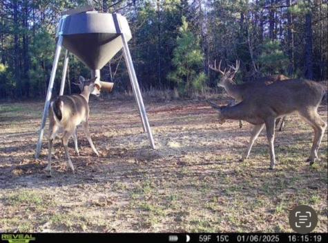 2042 E 1980 Antlers OK 74523