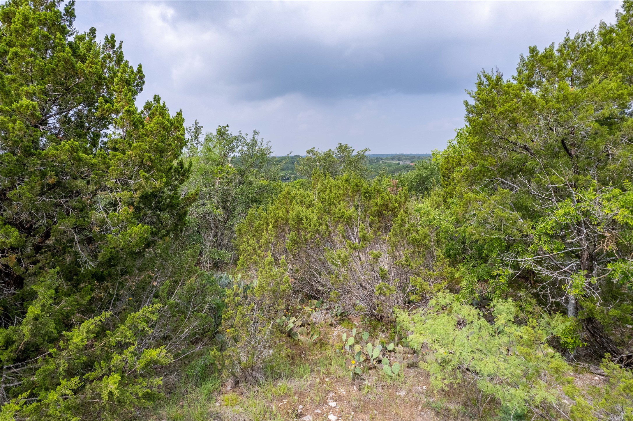 000 Anglers Point Bluff Dale TX 76433
