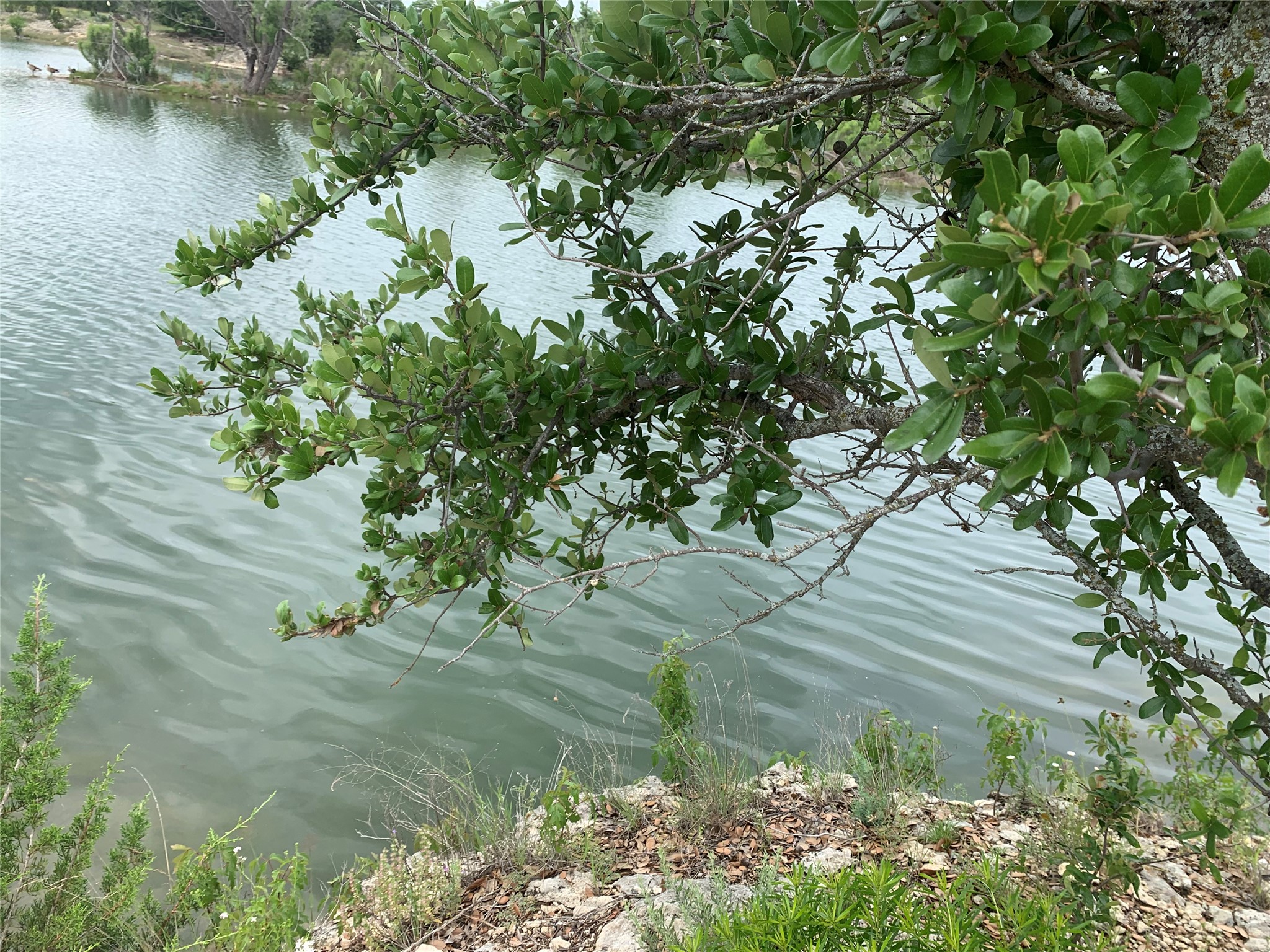 000 Anglers Point Bluff Dale TX 76433