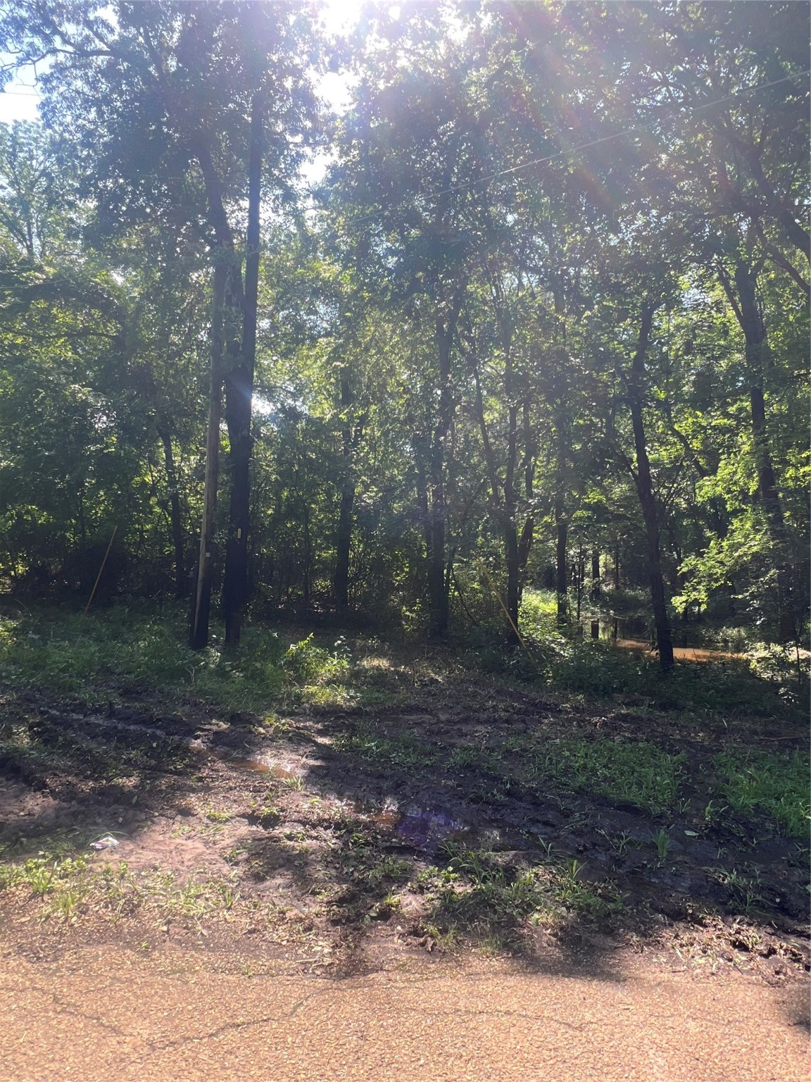 Tbd Vz 1913 Fruitvale TX 75127