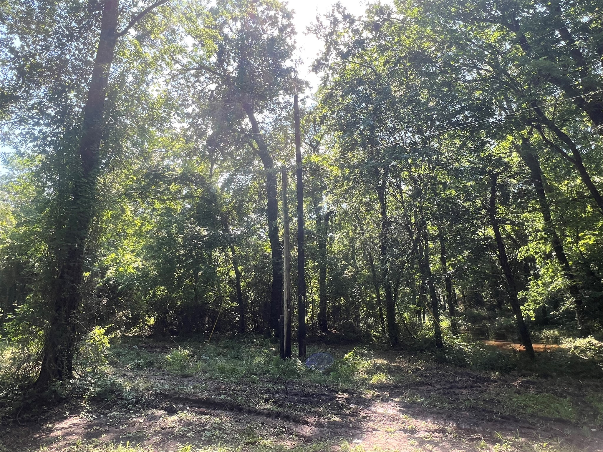 Tbd Vz 1913 Fruitvale TX 75127
