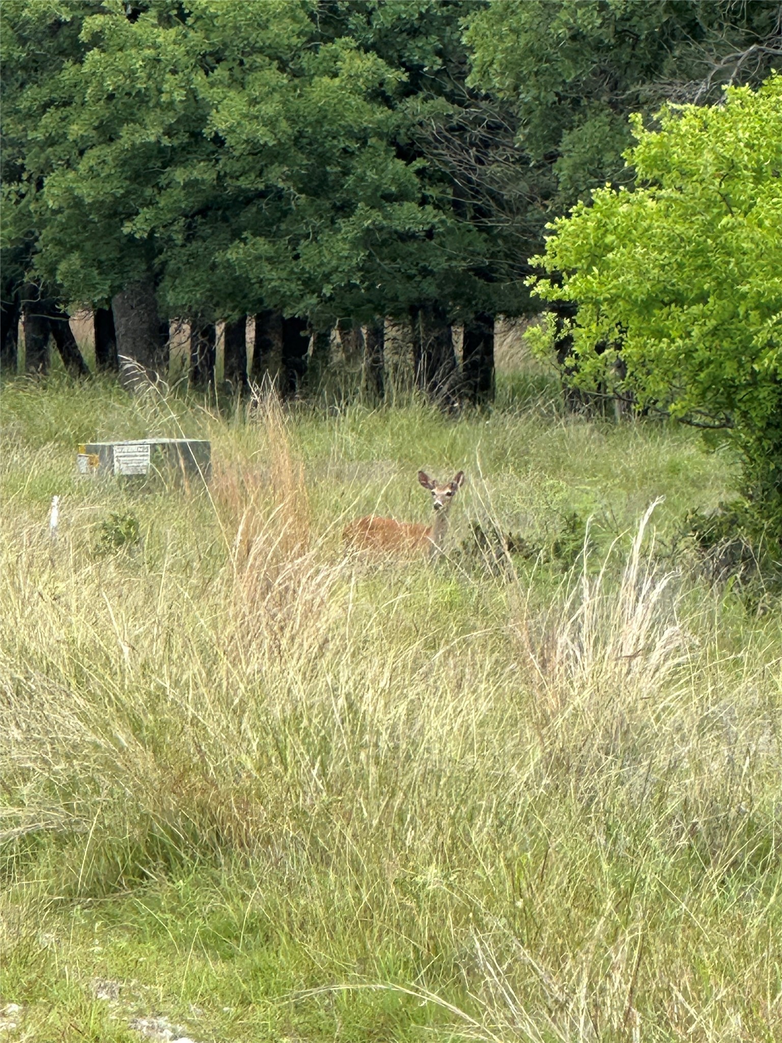 Lot 237 Vista Pointe Drive Chico TX 76431