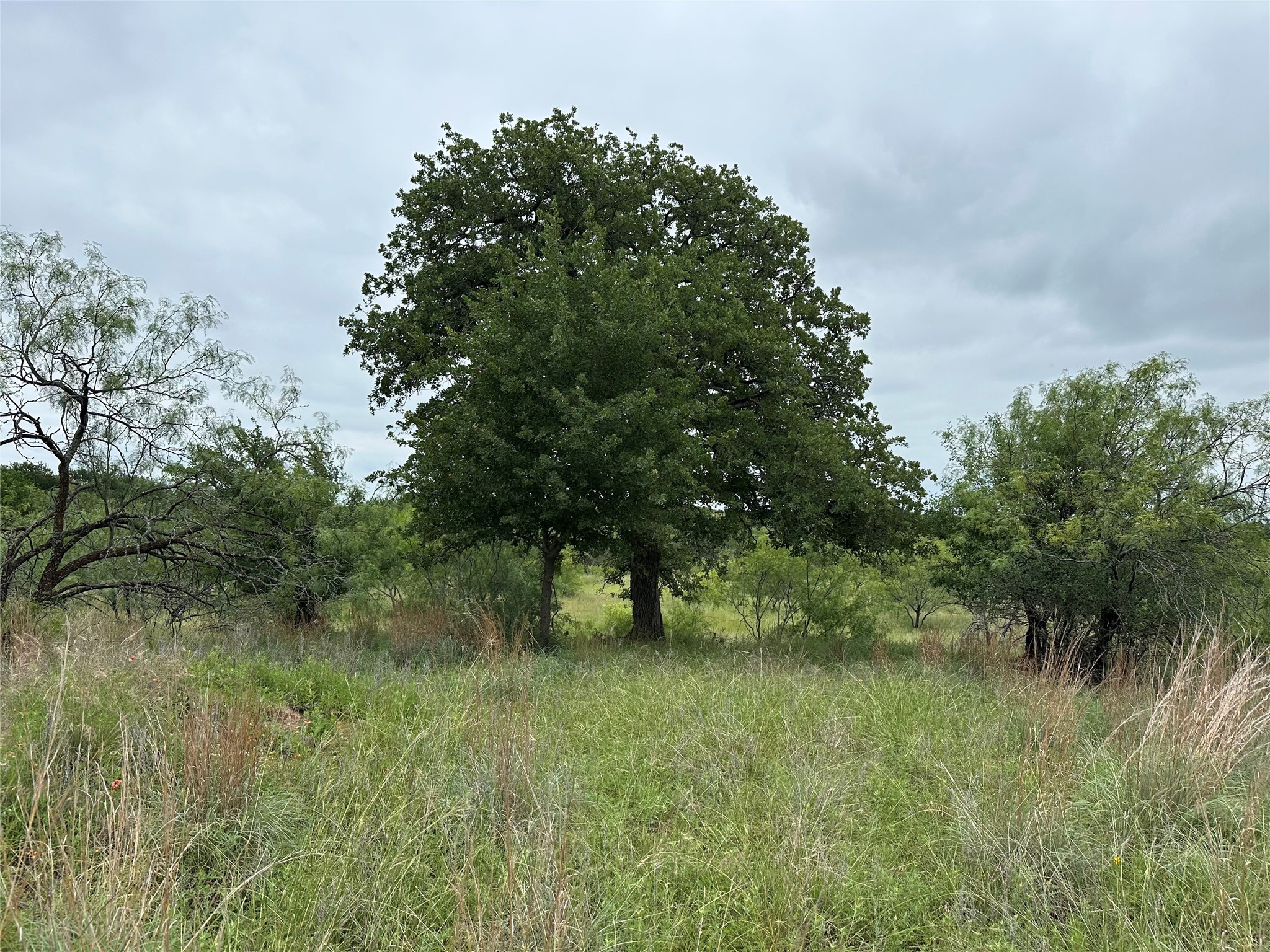 Lot 237 Vista Pointe Drive Chico TX 76431