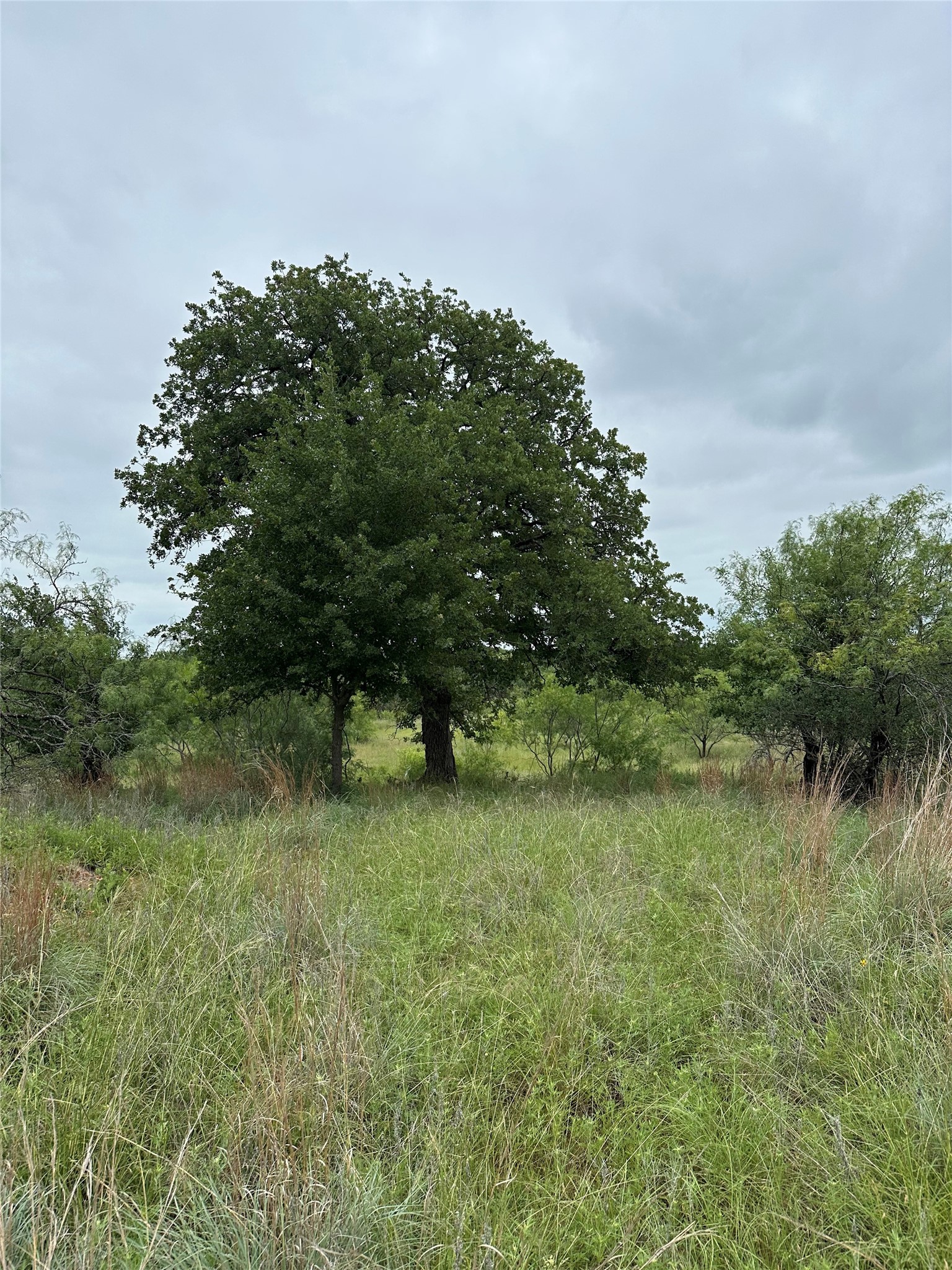 Lot 237 Vista Pointe Drive Chico TX 76431