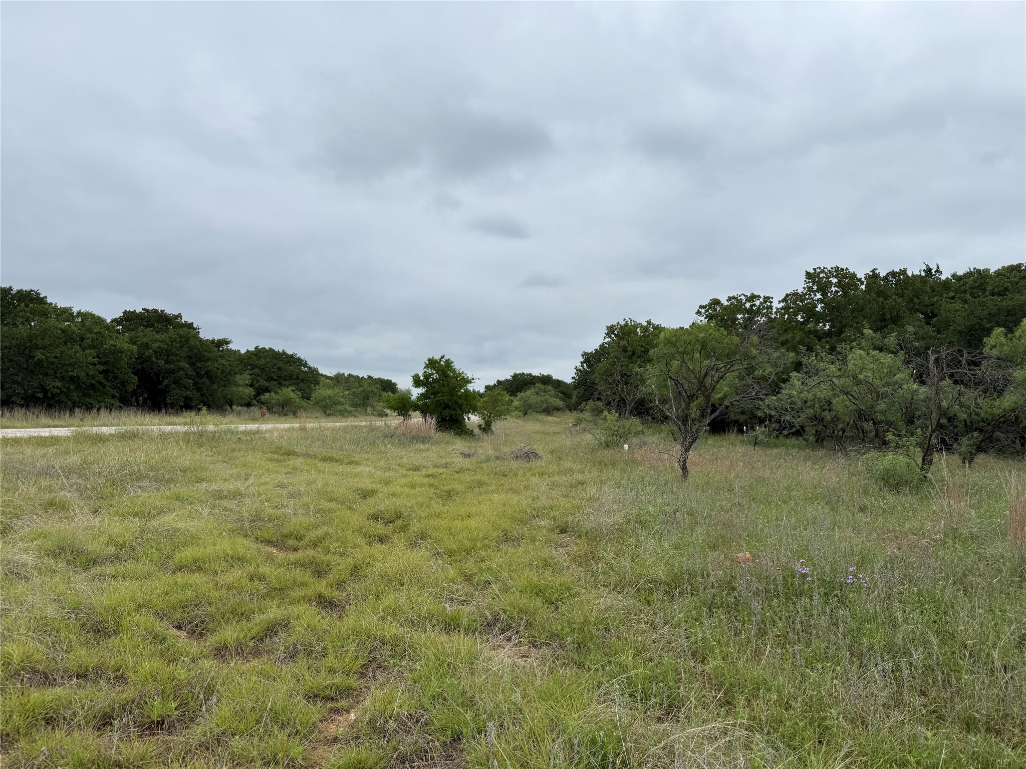 Lot 237 Vista Pointe Drive Chico TX 76431