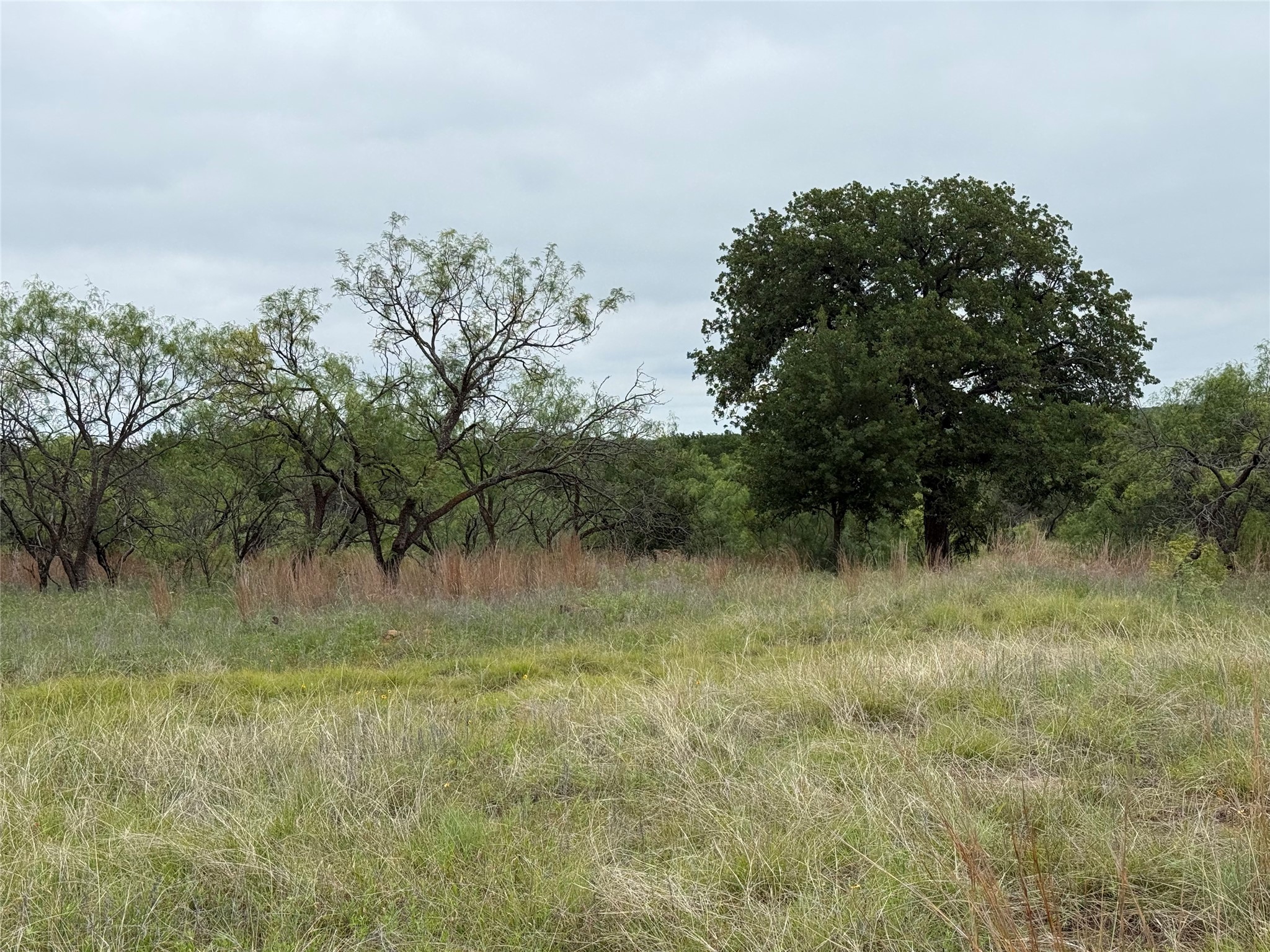 Lot 237 Vista Pointe Drive Chico TX 76431