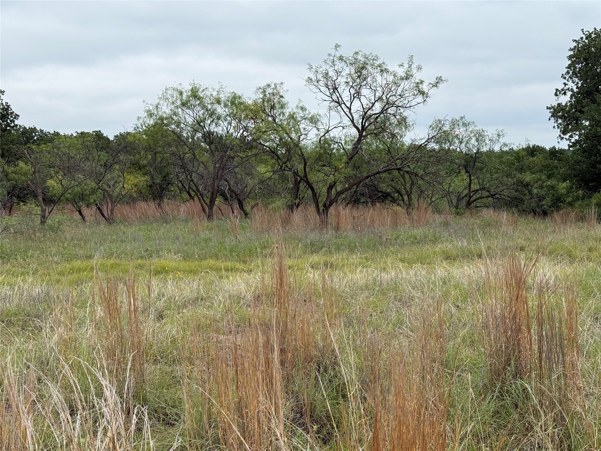 Lot 237 Vista Pointe Drive Chico TX 76431