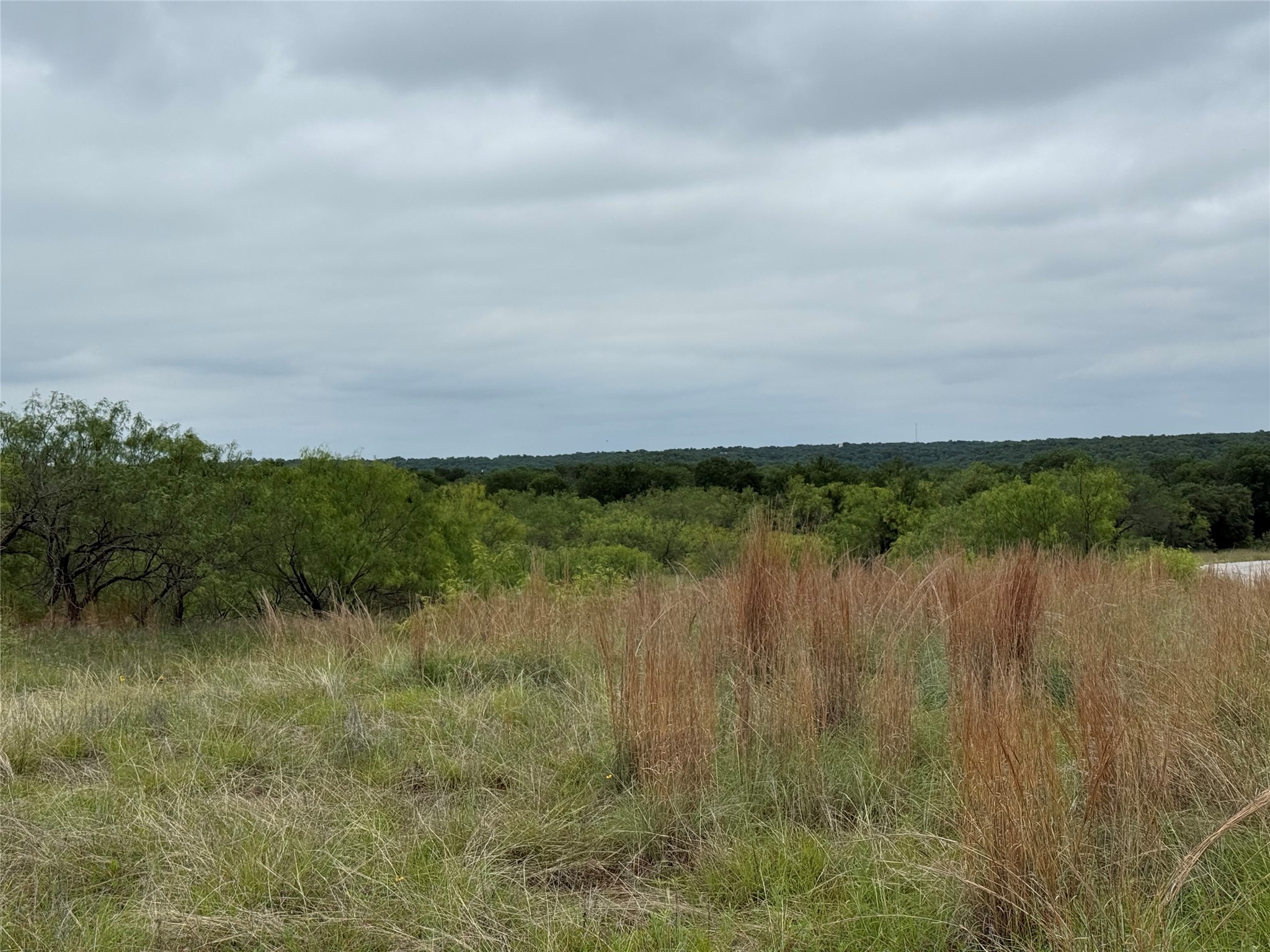 Lot 237 Vista Pointe Drive Chico TX 76431