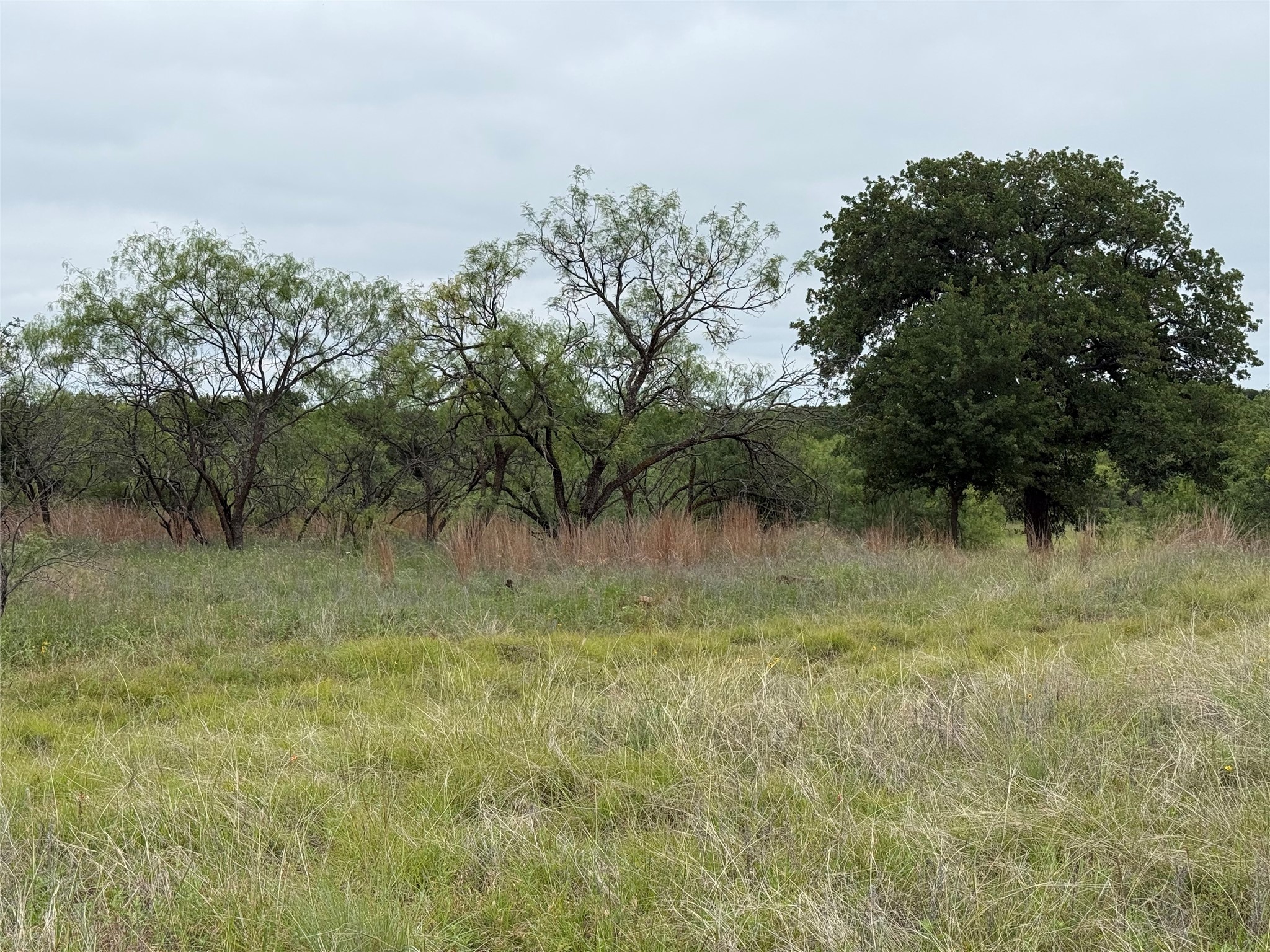 Lot 237 Vista Pointe Drive Chico TX 76431