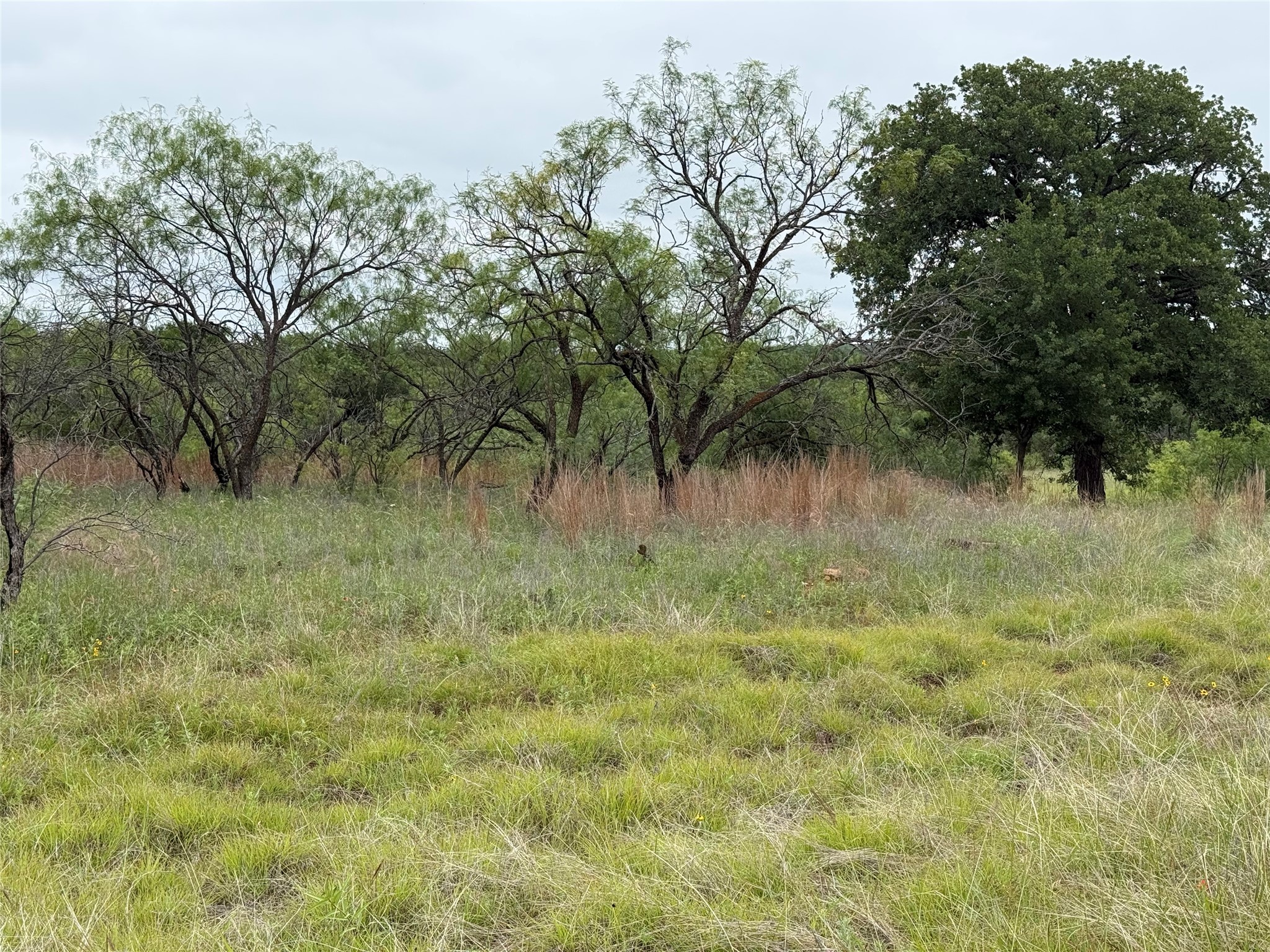 Lot 237 Vista Pointe Drive Chico TX 76431